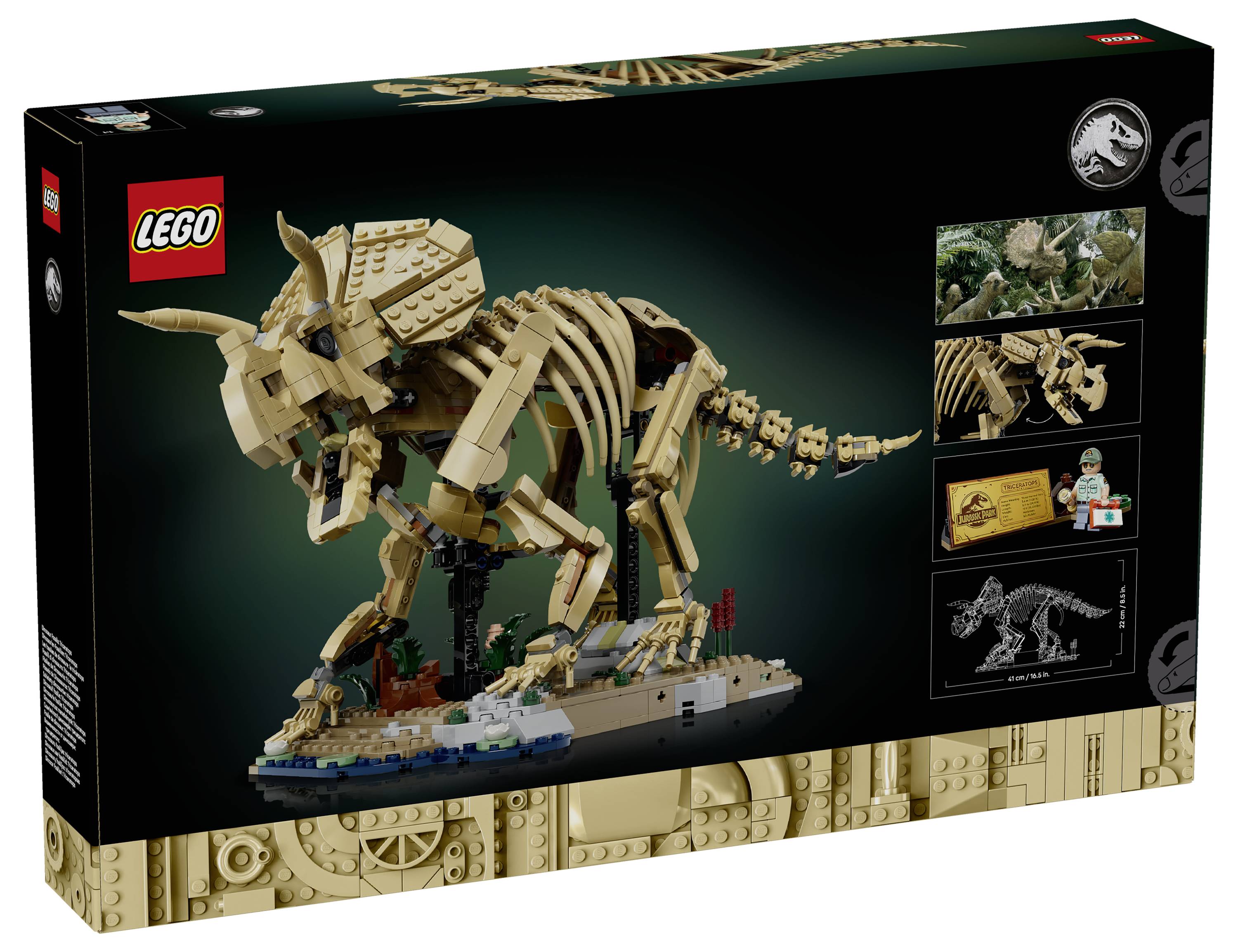 LEGO Jurassic World Dinosaurier-Skelett-Modellbausatz-Schachtel mit einem beige Triceratops-Skelett auf einem Displayständer, mit Produktbildern und dem LEGO-Logo.