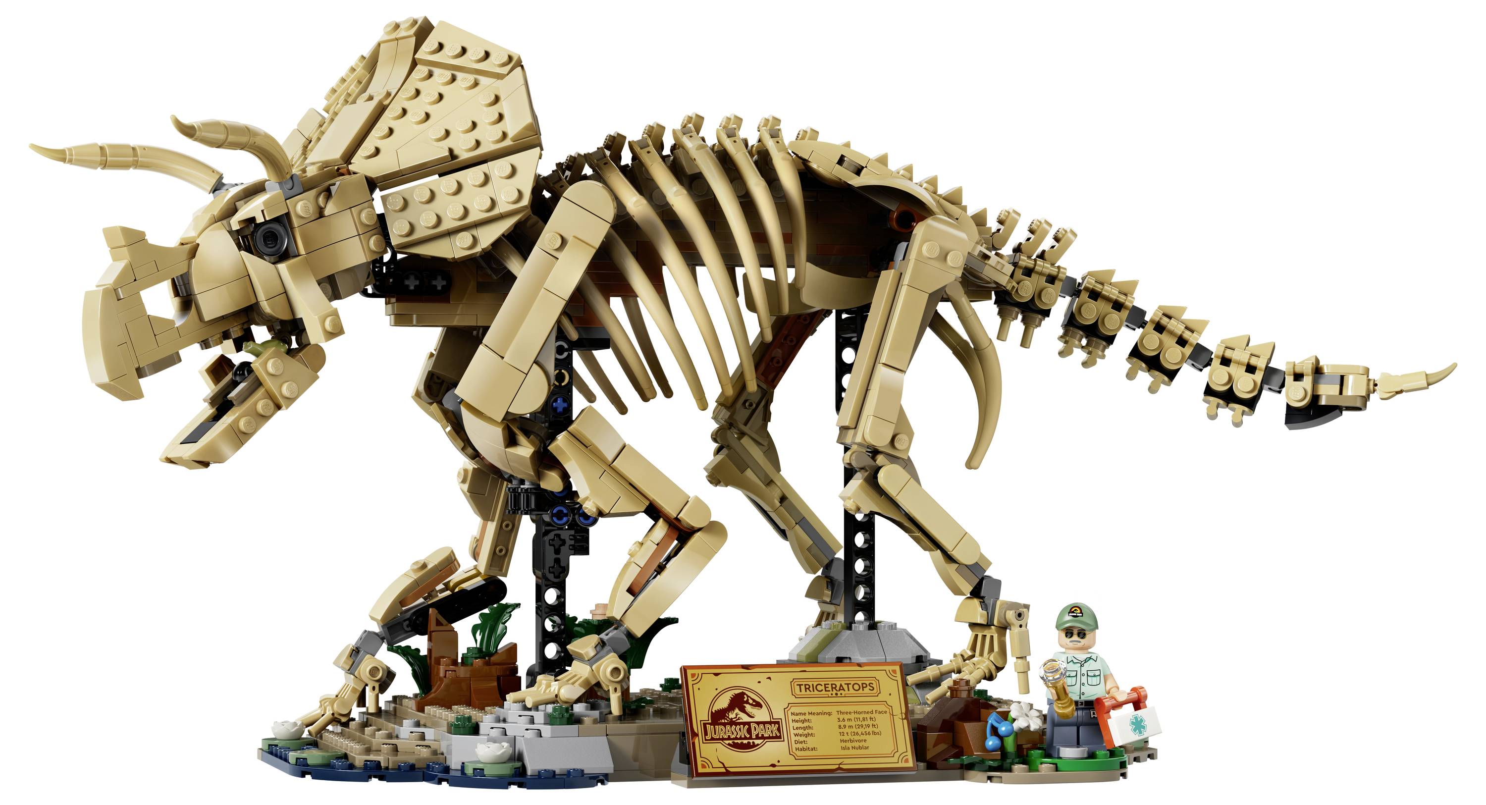 LEGO Triceratops-Dinosaurier-Skelettmodell in Pose auf einer Ausstellungsbasis mit einer kleinen Minifigur und einer museumsstilisierten Plakette.