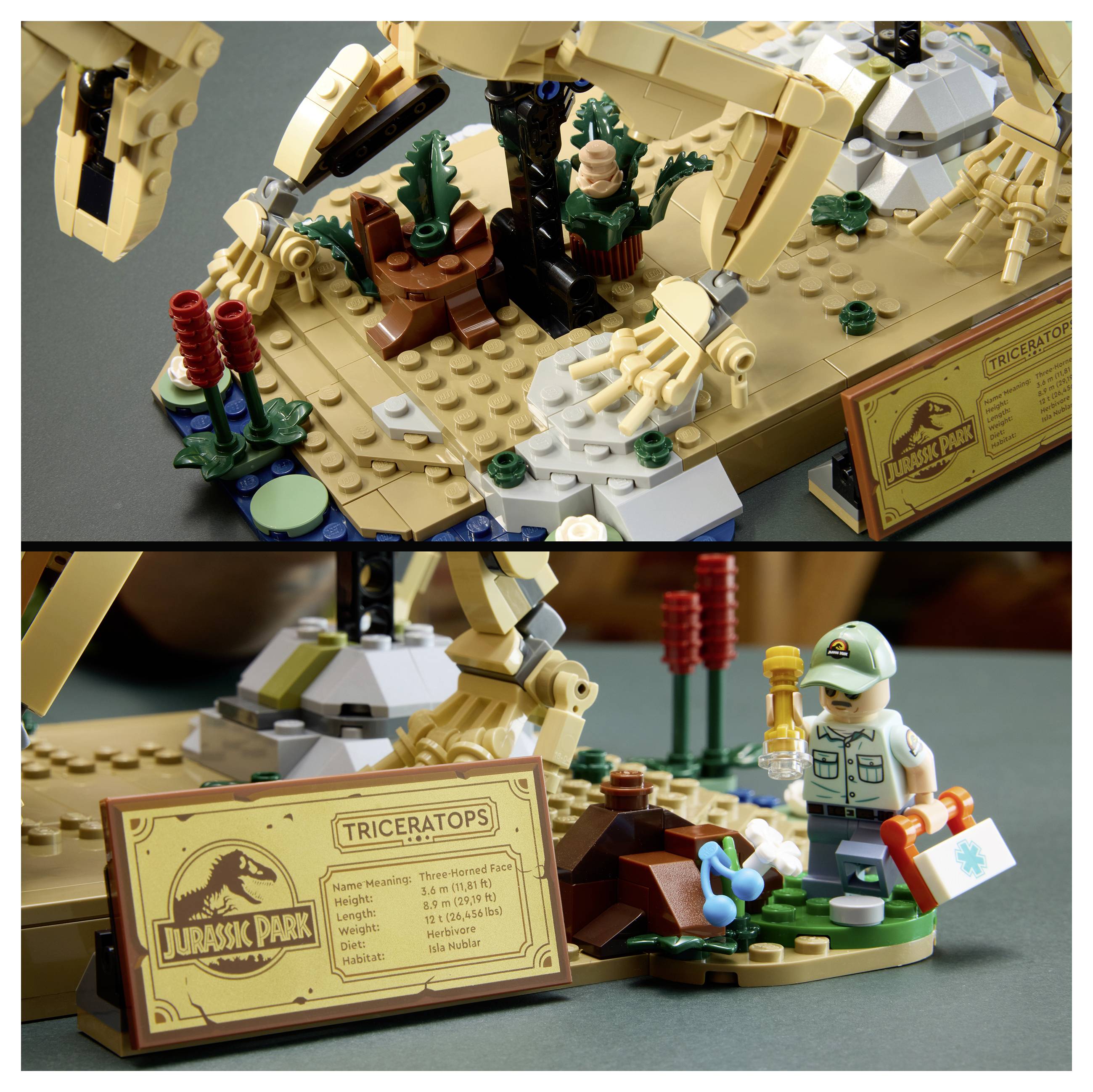 LEGO Jurassic Park Triceratops-Szenerie mit beige-farbenem Dinosaurier, Vegetation und einer Minifigur, die ein Erste-Hilfe-Set neben einem Informationsschild hält.