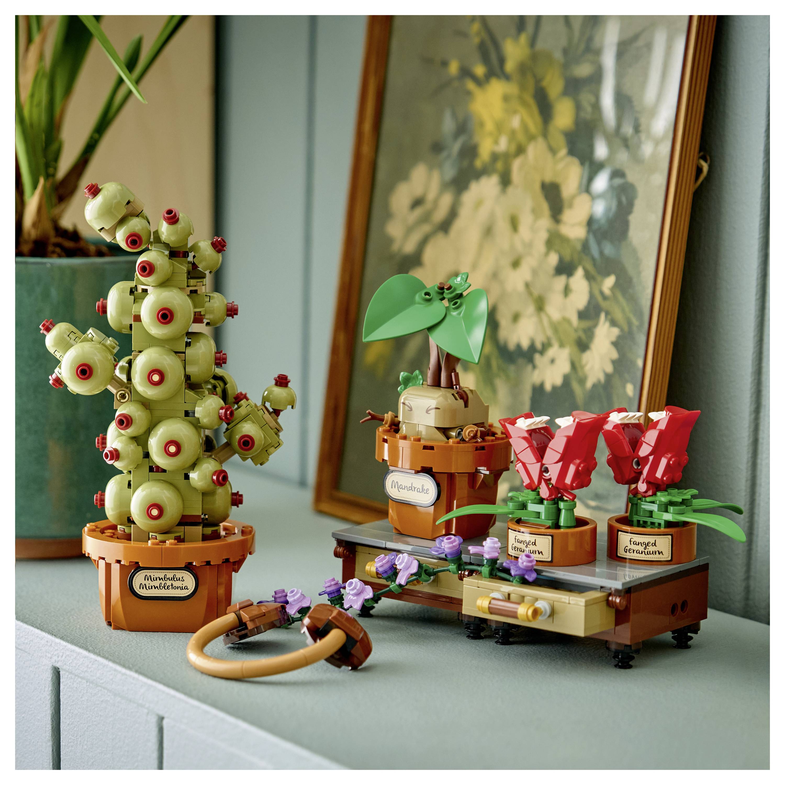Ausstellung von LEGO-ähnlichen botanischen Modellen: eine potted Venus flytrap, eine kleine Palme und rote Blumen auf Ständern und einem Tablett, auf einem Regal mit einem gerahmten Blumenbild dahinter aufgestellt.