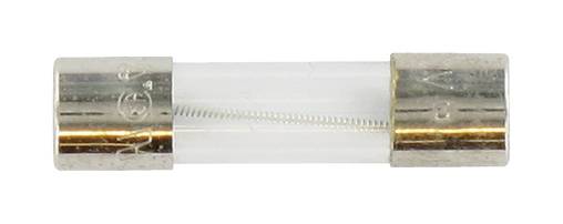 Glasspatrone Sicherung mit Metallendkappen