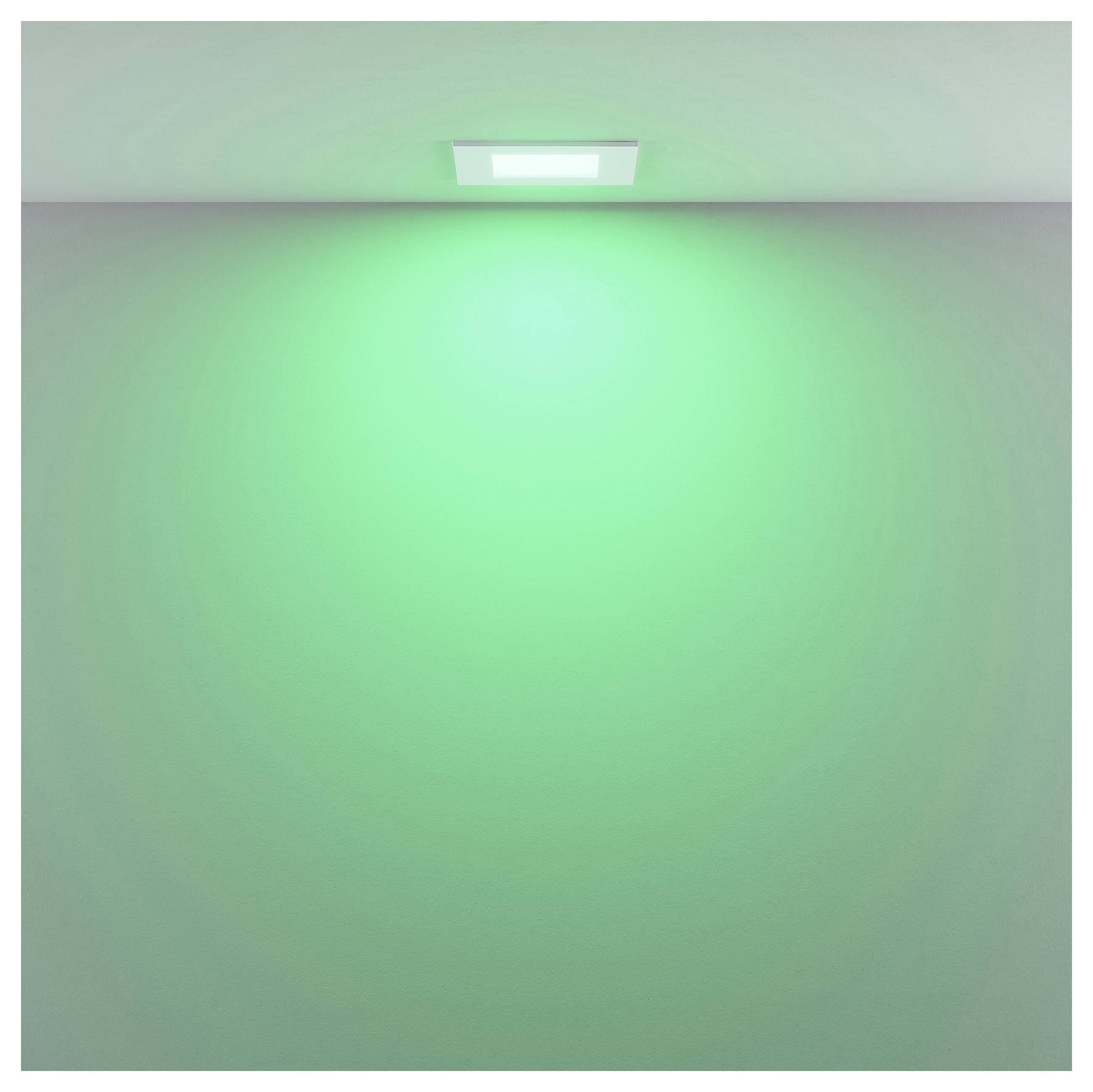 Grünes Licht, das von einer kleinen Deckenleuchte ausstrahlt und eine ansonsten leere Wand oder einen leeren Raum beleuchtet.