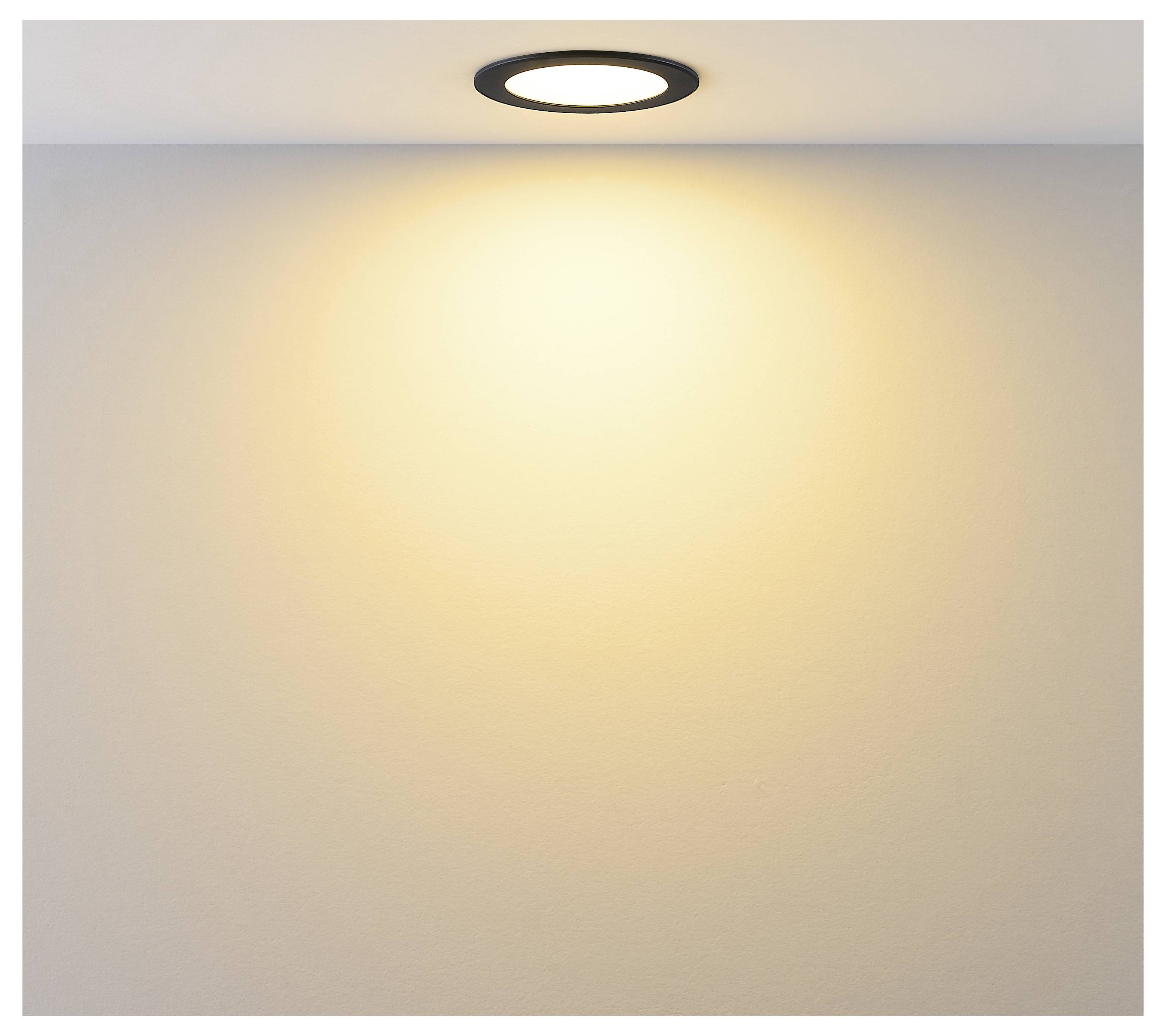 Leere Wand, die von einem Deckenspot beleuchtet wird und einen warmen, kreisförmigen Glanz erzeugt.
