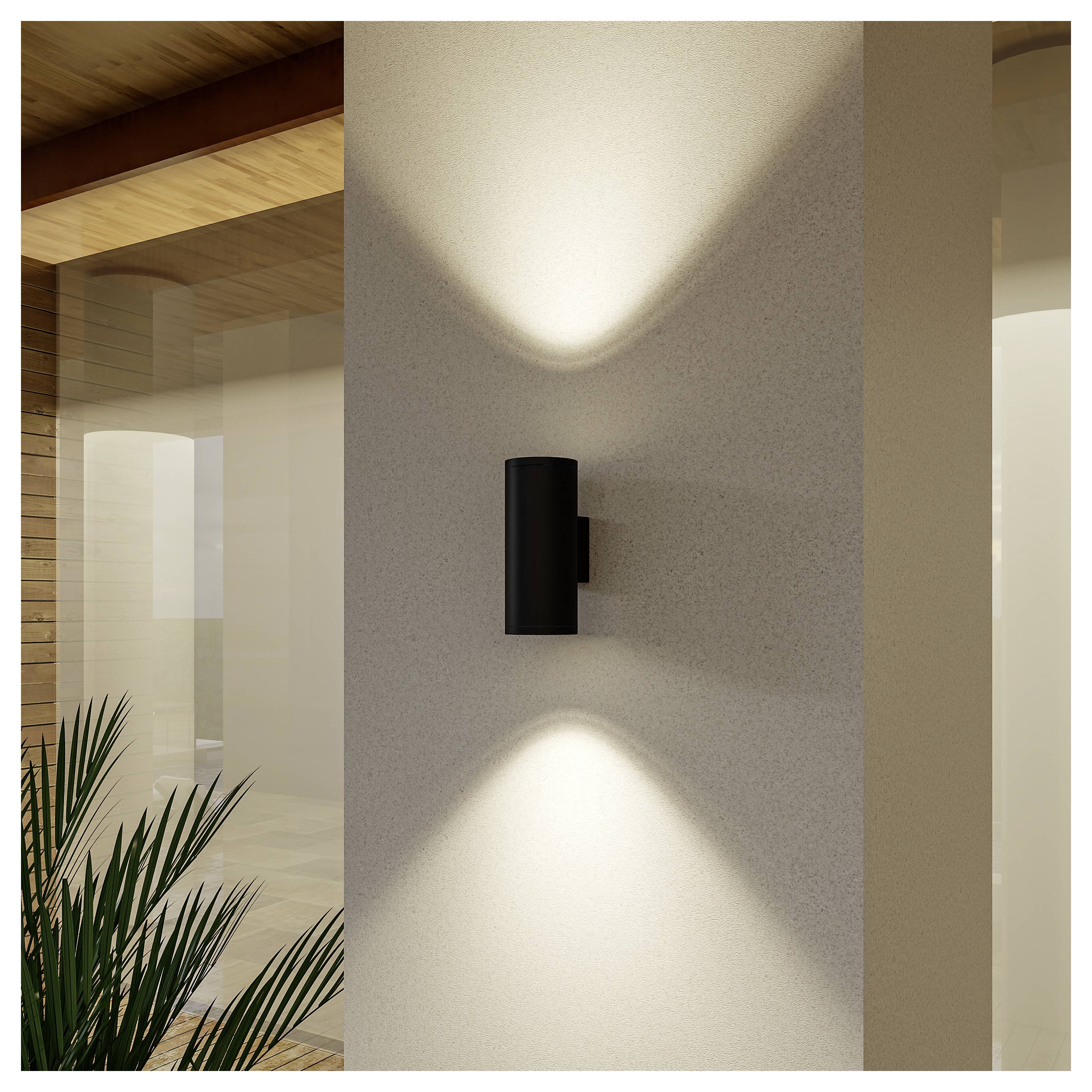 Moderne Wandleuchte mit schwarzem zylindrischem Gehäuse, das Licht nach oben und unten auf eine strukturierte Innenwand wirft, neben einem Glaswandzimmer und einer Pflanze.