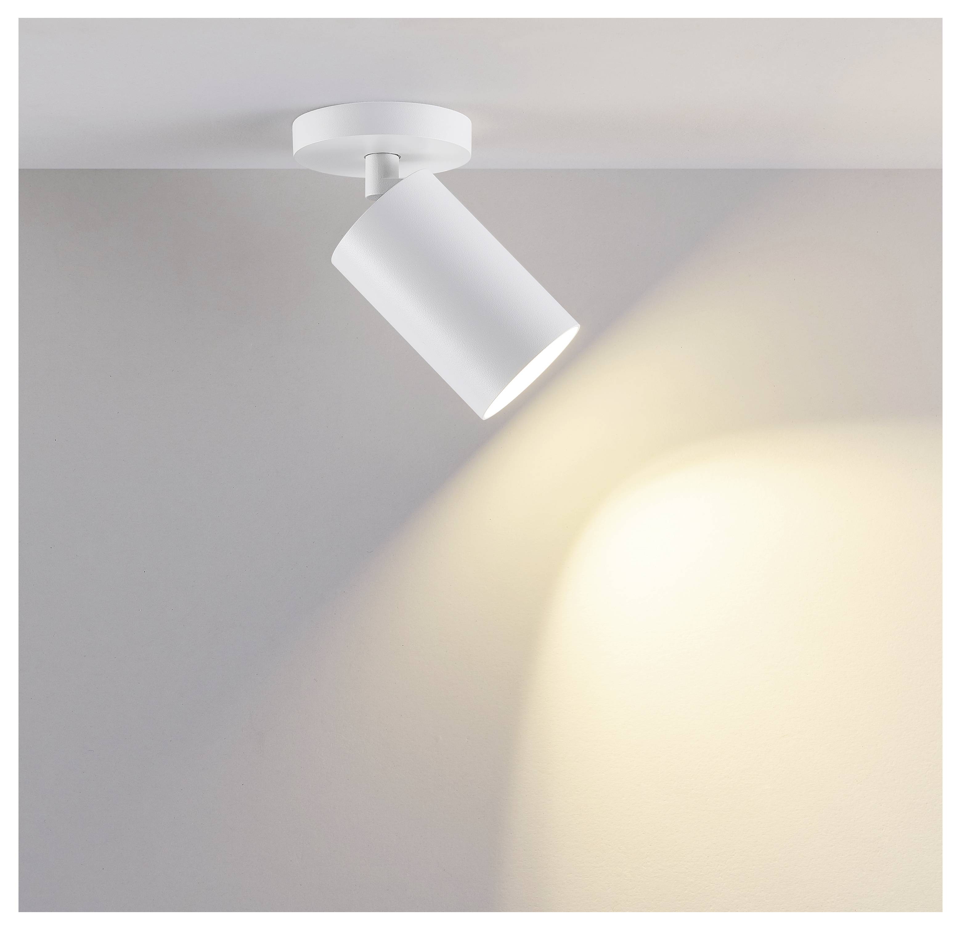 Deko Light Can Spot 931053 Gehäuse; Glasschirm Signalweiß (RAL 9003)