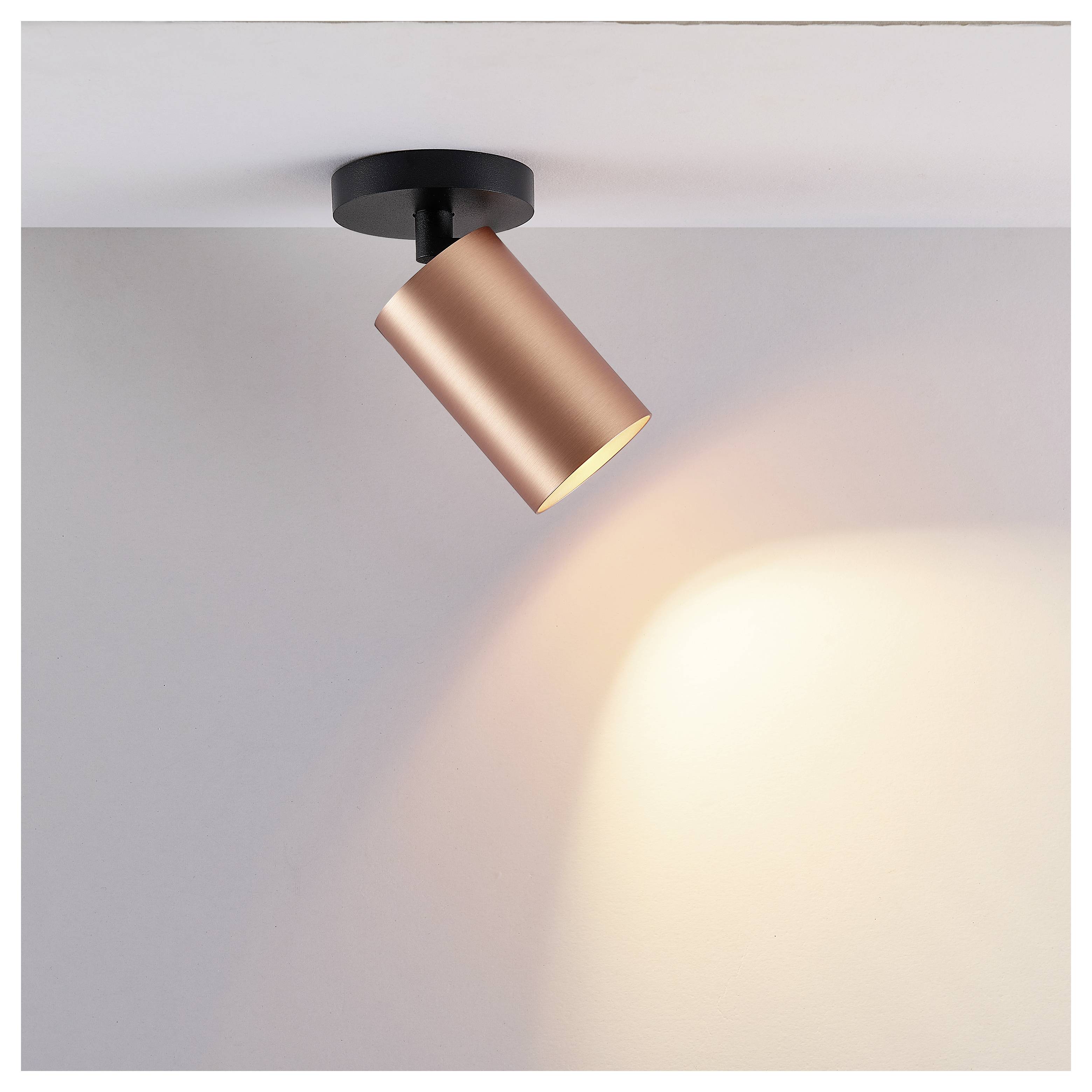 Deko Light Can Spot 931058 Gehäuse; Glasschirm Rose