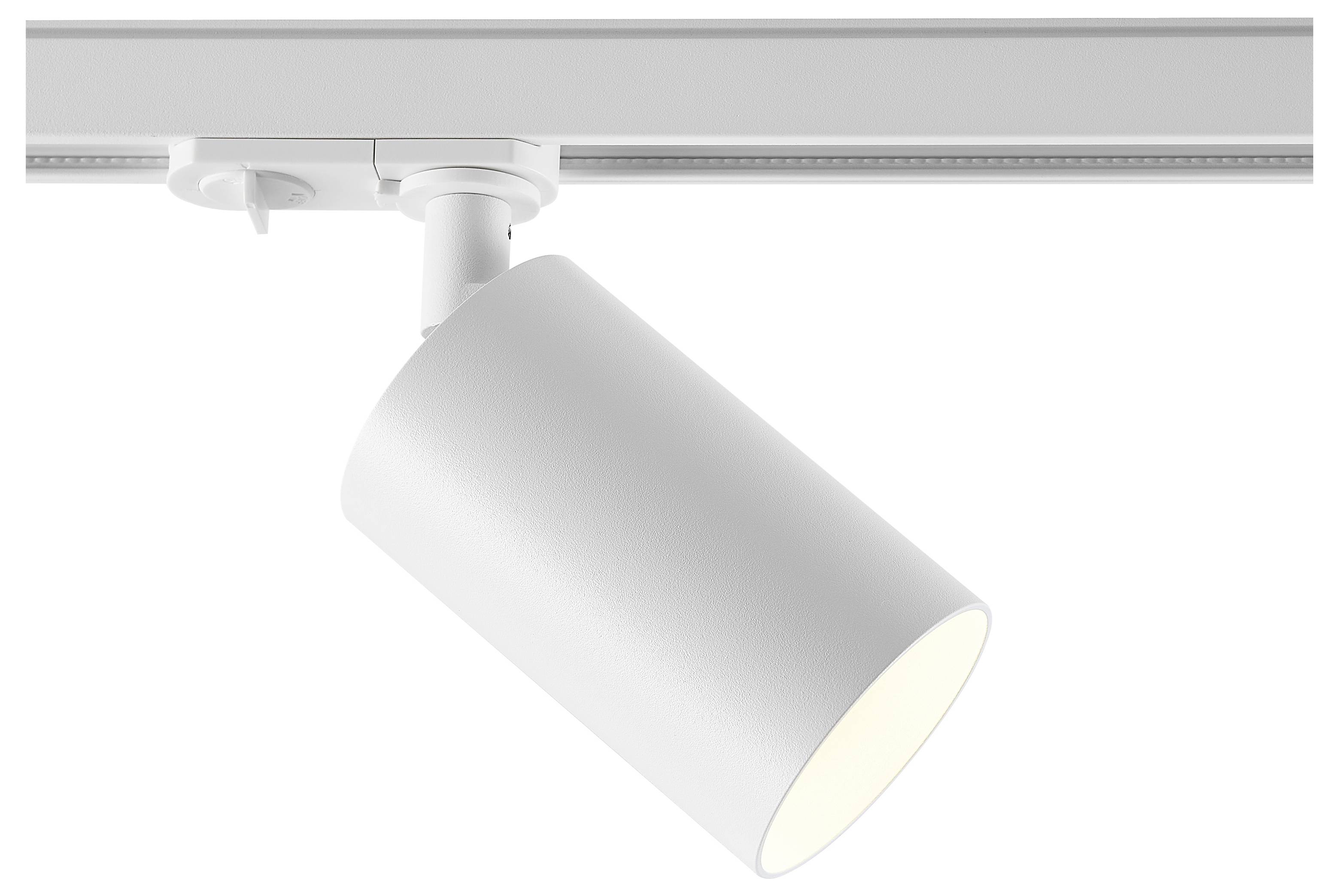 Schwarzte Doppelzylinder-Schienenstrahler mit zwei abgewinkelten Lampen auf einer rechteckigen Deckenhalterung.