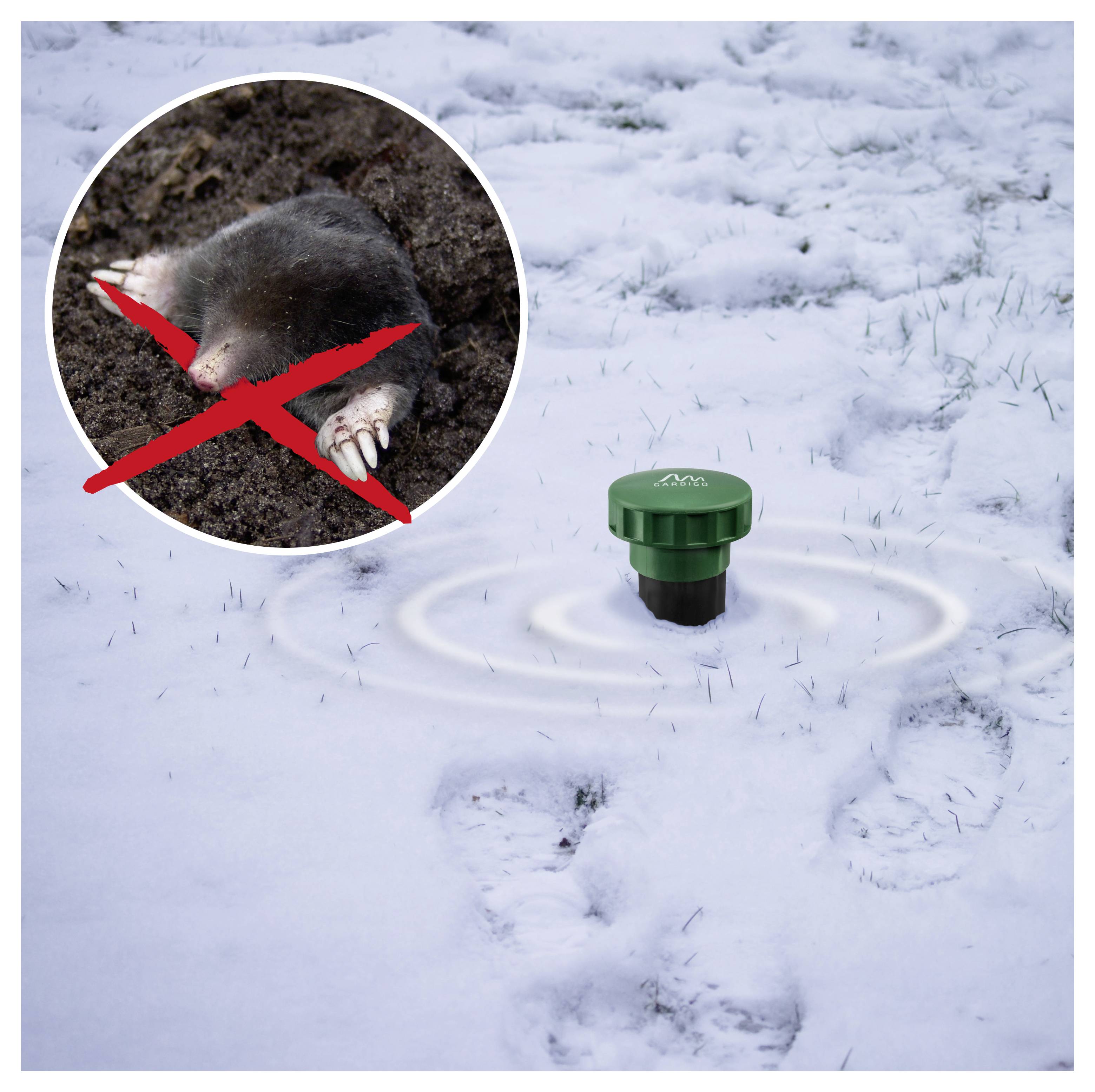 Schneebedeckter Rasen mit einem grünen Ultraschall-Tierschreck, der Wellen erzeugt, und eine eingefügte durchgestrichene Maulwurf in einem Tunnel, die Schädlingsbekämpfung anzeigt.