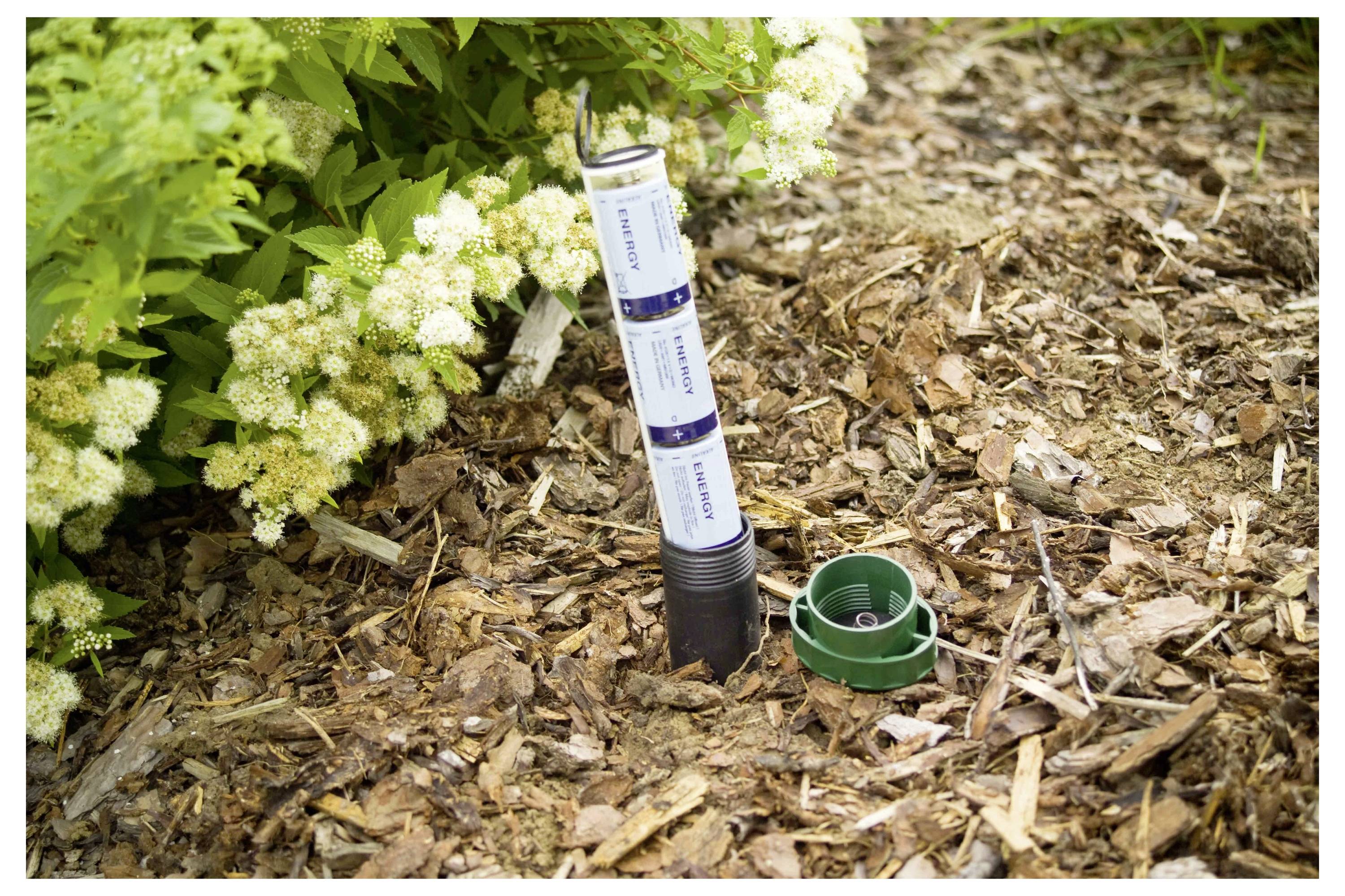 Eine weiße zylindrische Garteninsektenfalle steht in Mulch neben grünen Sträuchern, mit einer grünen Kappe, die in der Nähe liegt.