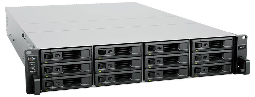 Synology NAS-Server 0TB 12 Bay SA3410