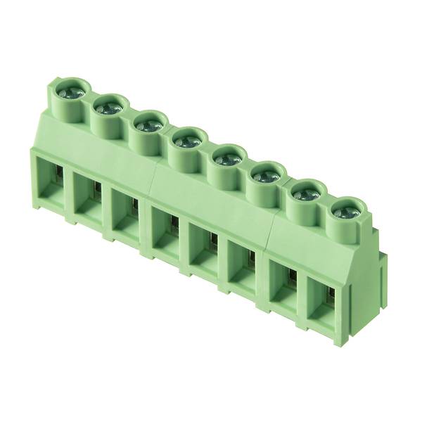 Grüner 8-poligen Schraubklemmblock-Stecker, Schrägansicht auf weißem Hintergrund.
