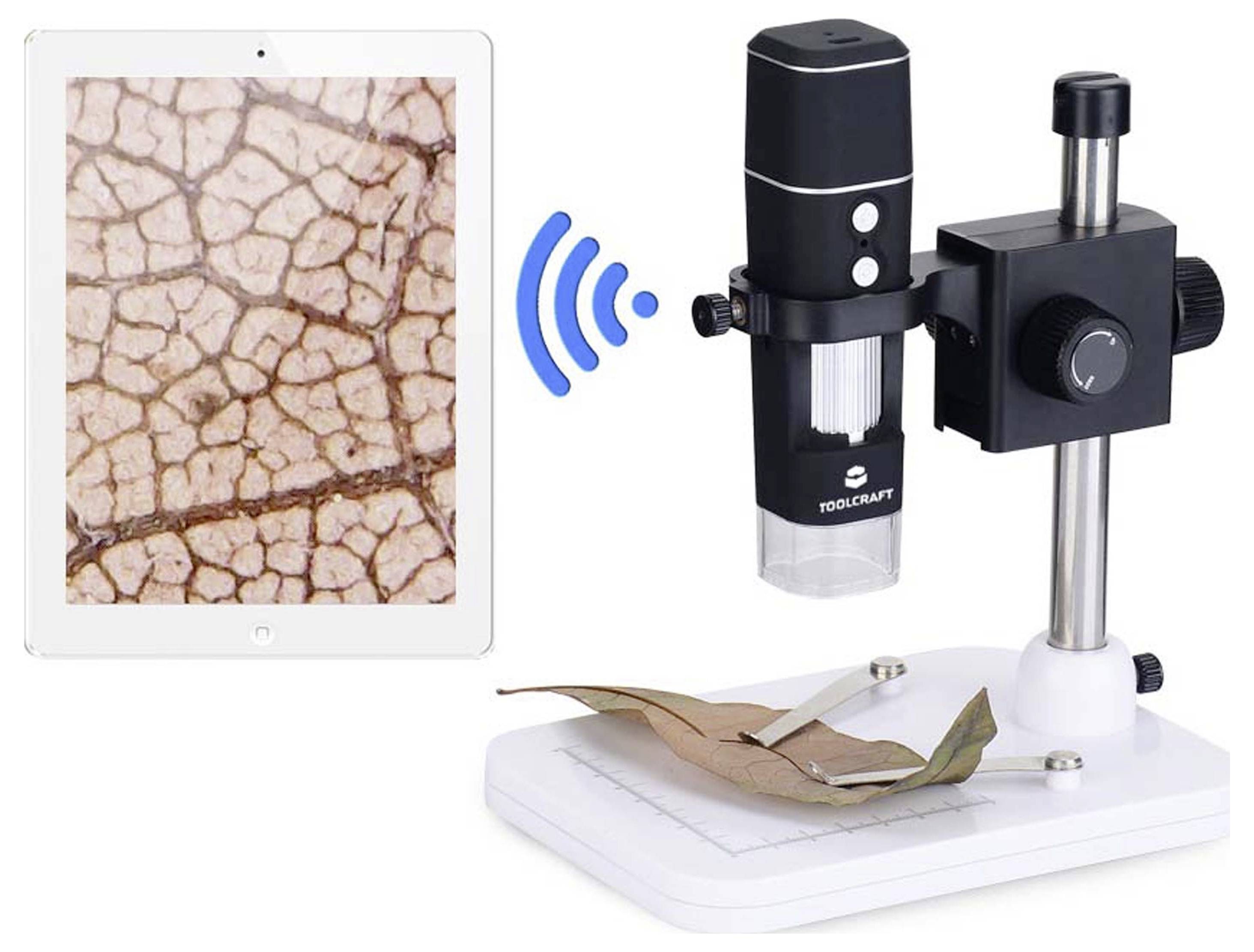 Tablet zeigt eine vergrößerte Blattstruktur an, während ein kabelloses digitales Mikroskop auf einem Ständer eine Blattprobe auf seiner Basis untersucht.