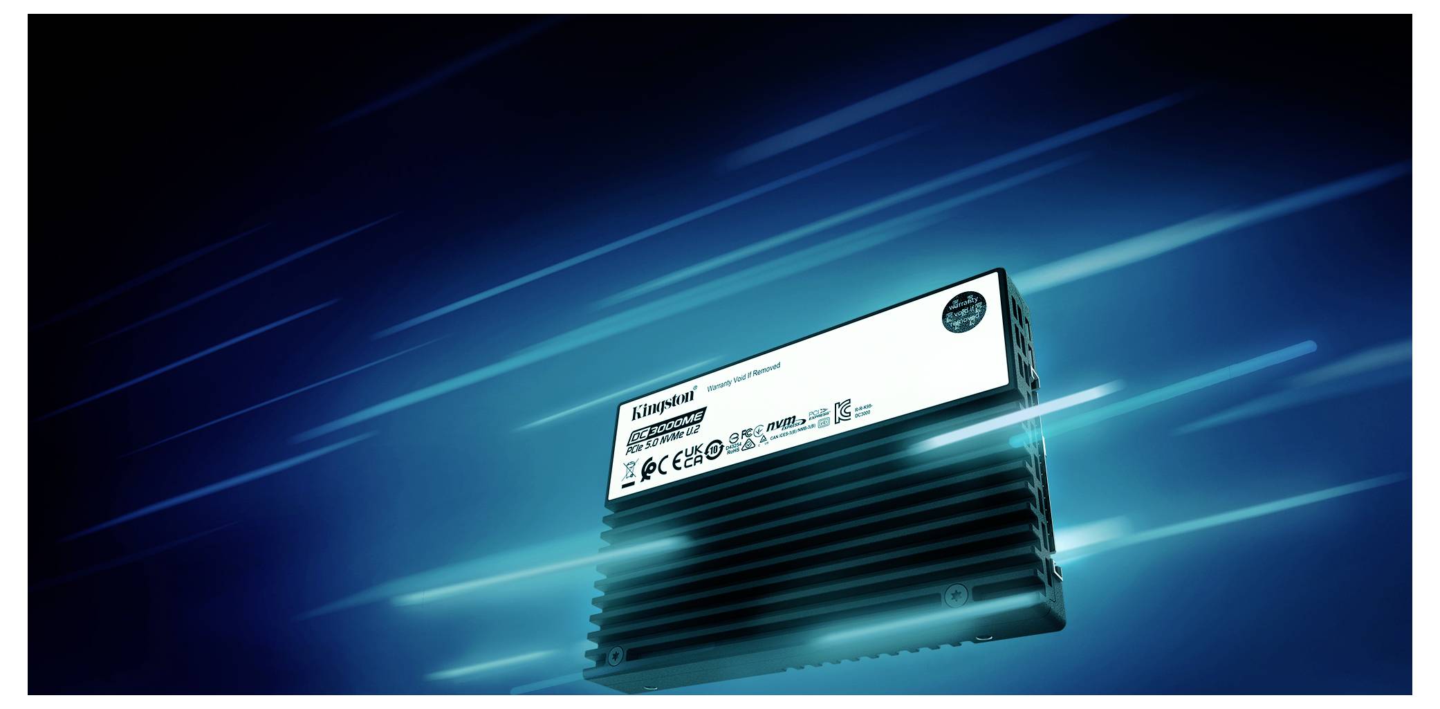 Kingston 30 TB Interne M.2 PCIe NVMe SSD SEDC3000ME/30T7