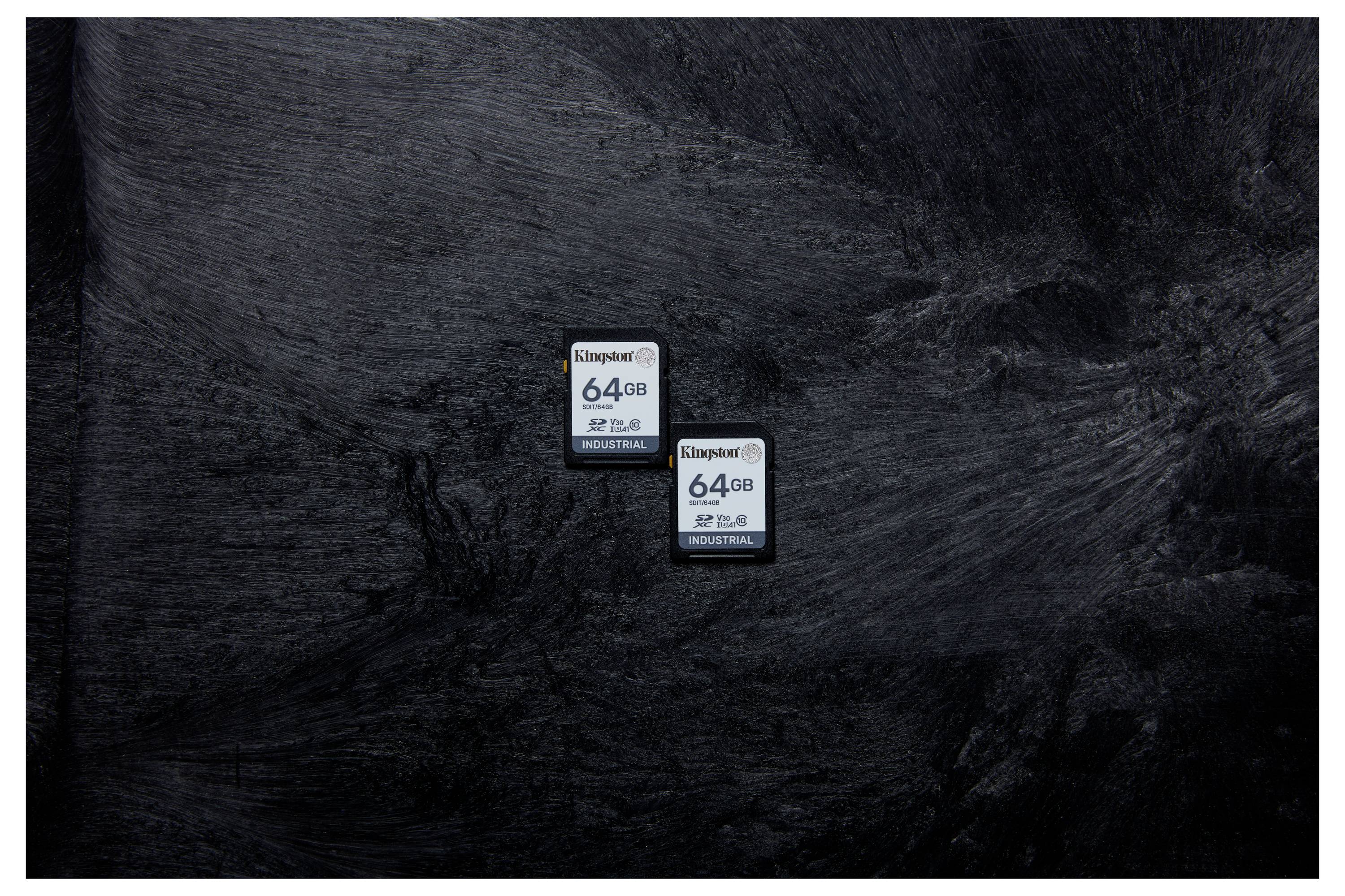 Kingston Industrial - Flash-Speicherkarte - 64 GB