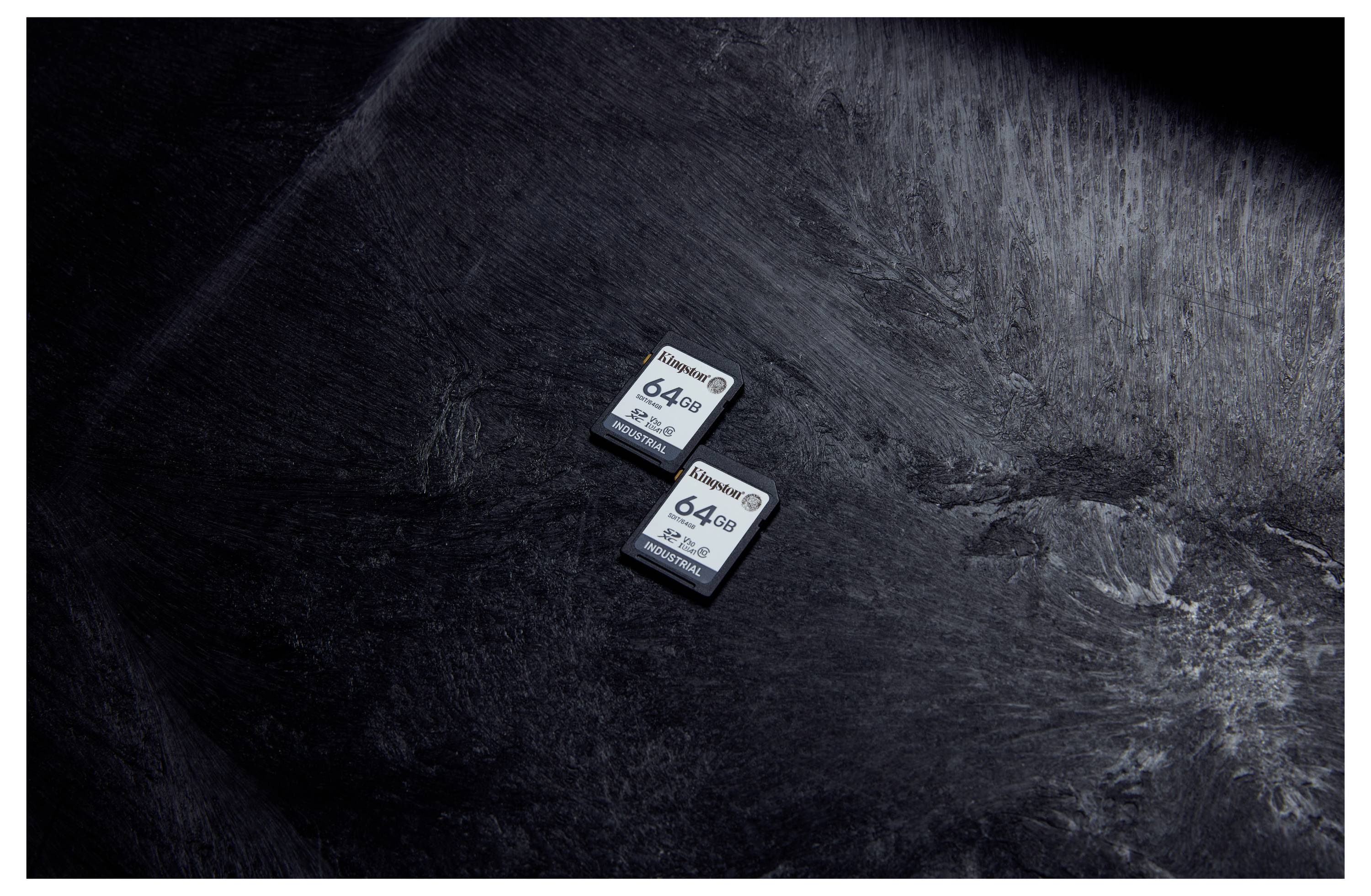 Kingston Industrial - Flash-Speicherkarte - 64 GB