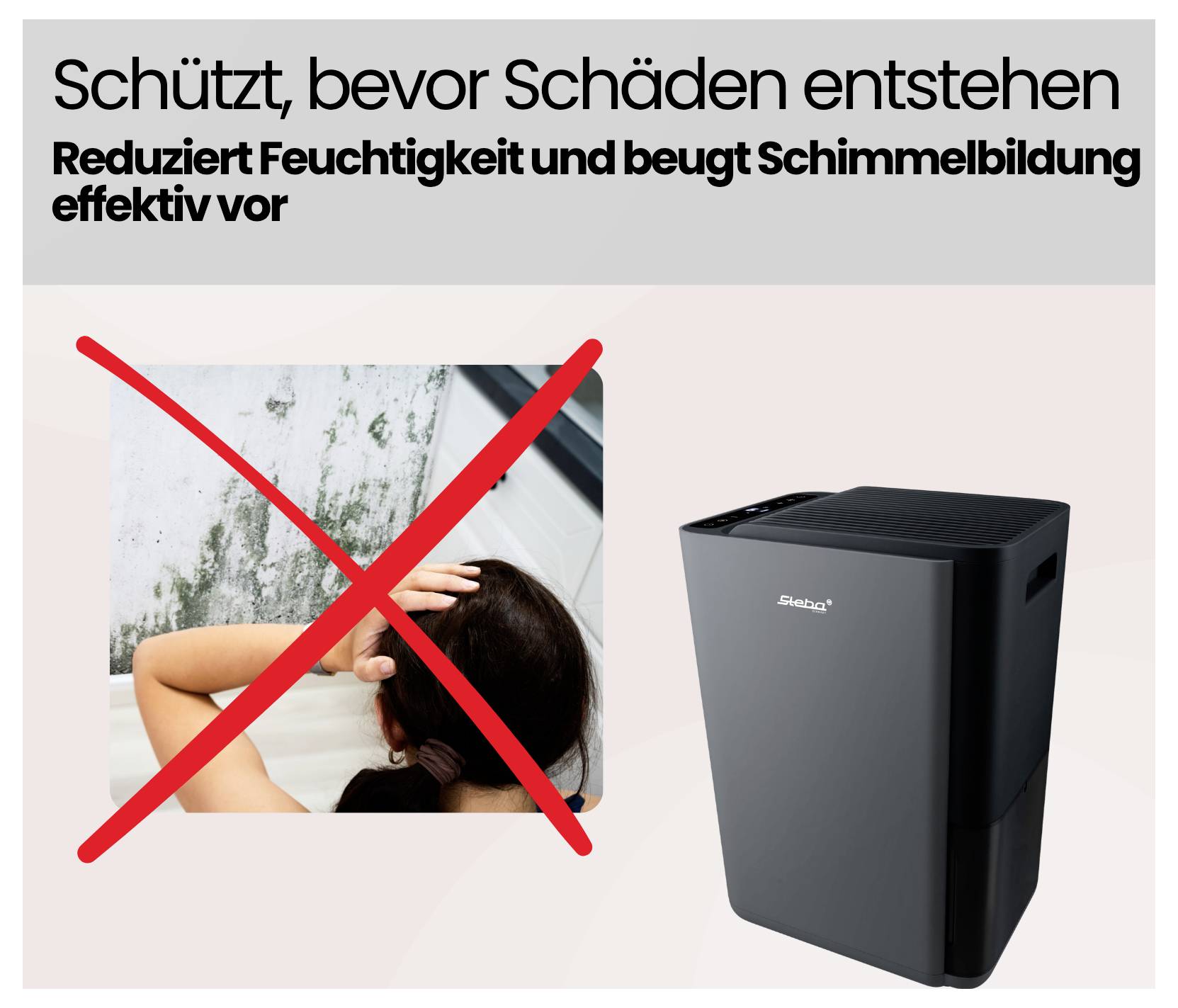 Schützen Sie, bevor Schäden entstehenReduziert Feuchtigkeit und verhindert Schimmel wirksam[Durchgestrichenes feuchtes, schimmeliges Zimmer und das Gerät abgebildet]