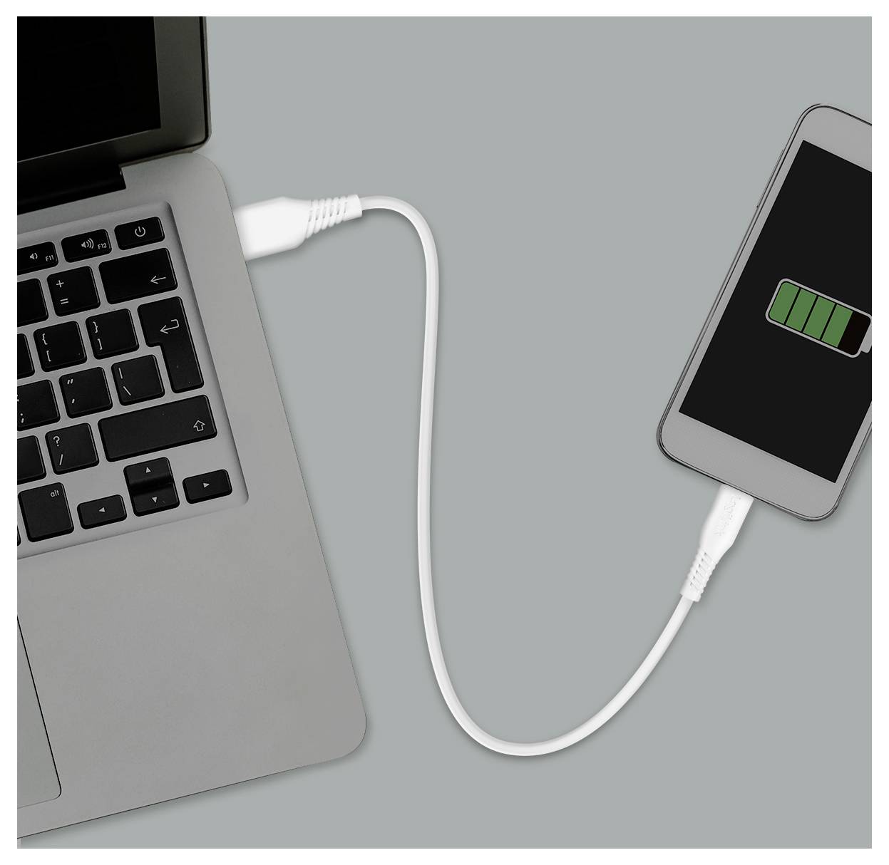 LogiLink USB-C® Kabel USB 2.0 USB-C® Stecker, USB-A Stecker 0.3m Weiß CU0250