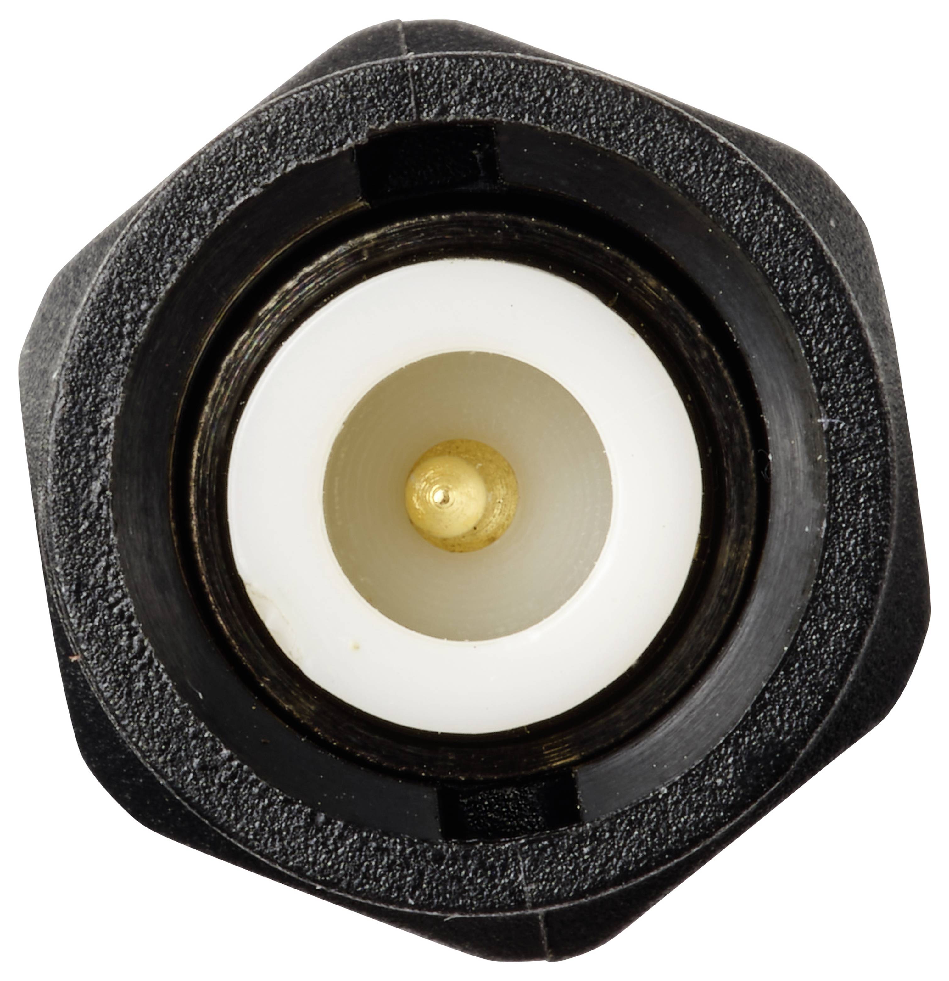 Nahaufnahme einer schwarzen koaxialen Stromstecker-Buchse mit weißem Isolator und vergoldetem Mittenkontakt auf weißem Hintergrund.