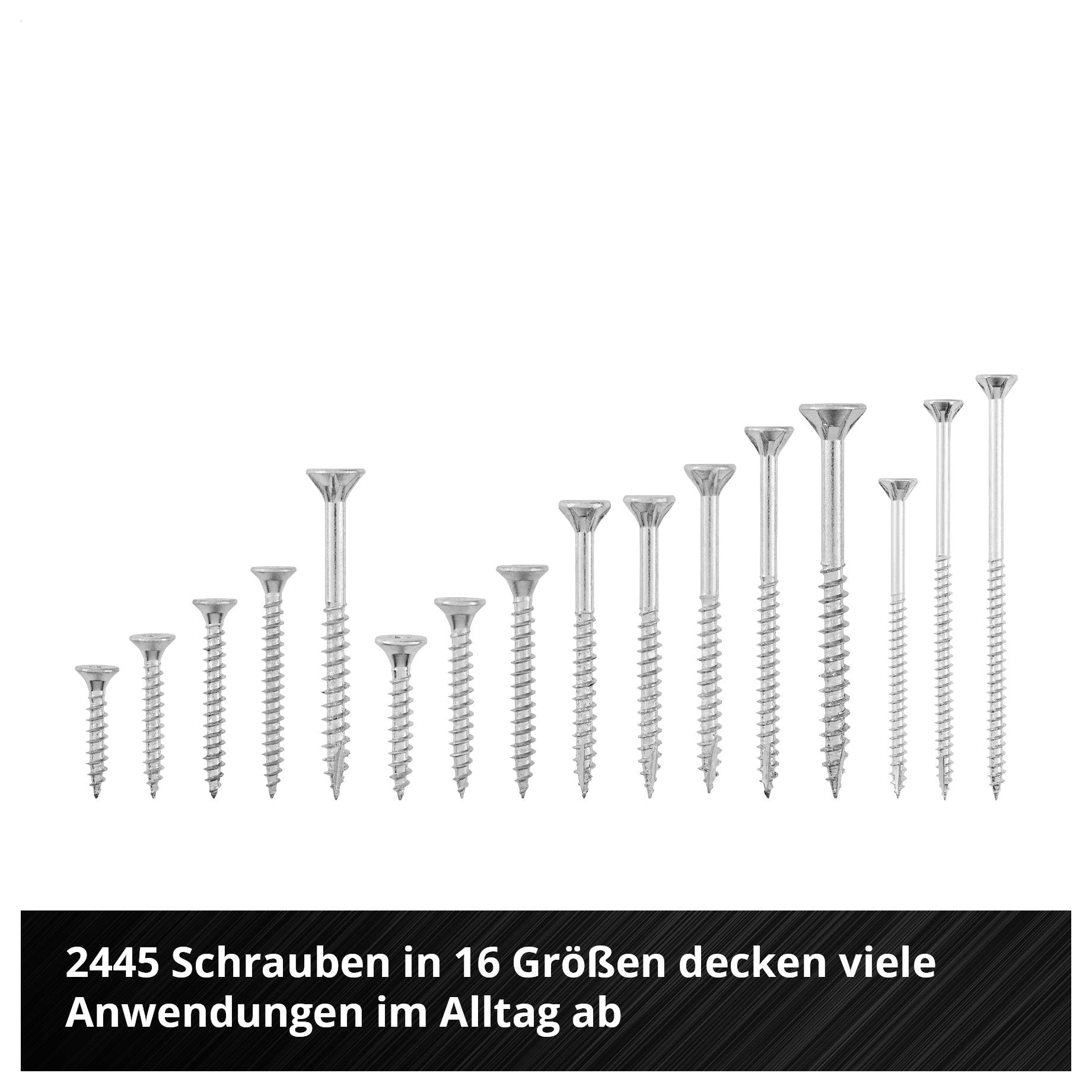 Set aus 2445 Schrauben in 16 Größen; zeigt verschiedene Längen und Kopfformen für vielfältige Anwendungen im Alltag.