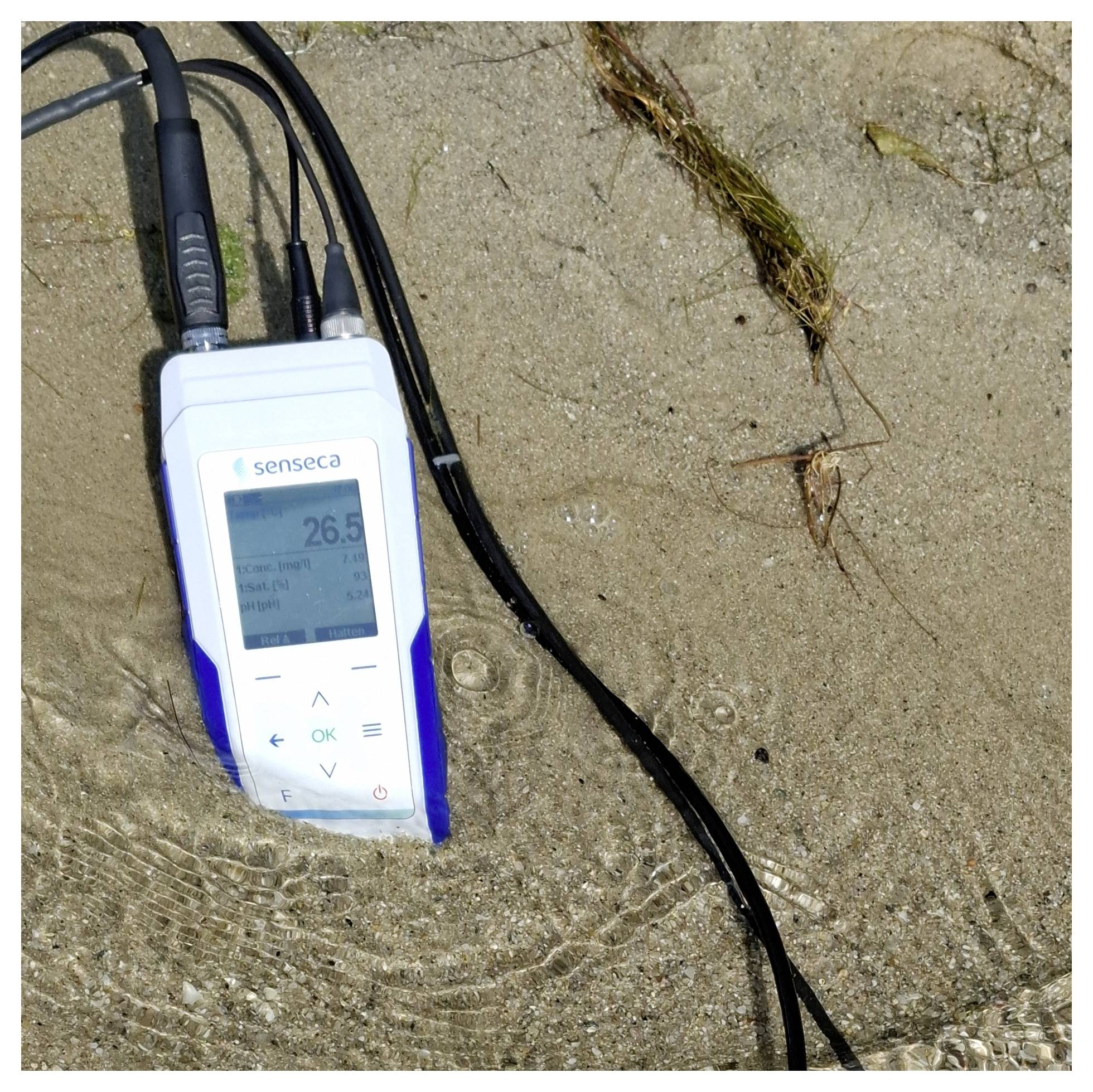 Tragbares Seneca-Messgerät in flachem Wasser auf Sand, zeigt eine Ablesung von 26,5 mit angeschlossenen Kabeln an.