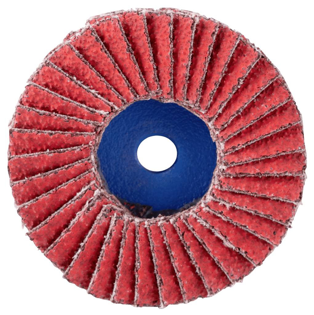 PFERD TOOLS 42719111 Schleifscheiben-Set Durchmesser 50mm Körnung (num)=40 10St.