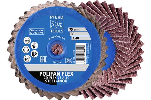 PFERD TOOLS 42719806 Schleifscheiben-Set Durchmesser 75 mm Körnung (num)=80 10 St.