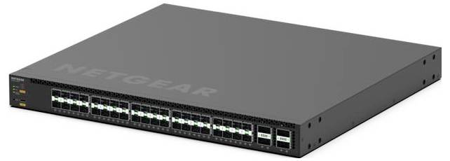 Frontansicht eines NETGEAR-Netzwerk-Switches mit mehreren Ethernet-Anschlüssen und Statusleuchten auf einer grauen Rack-Mount-Einheit.