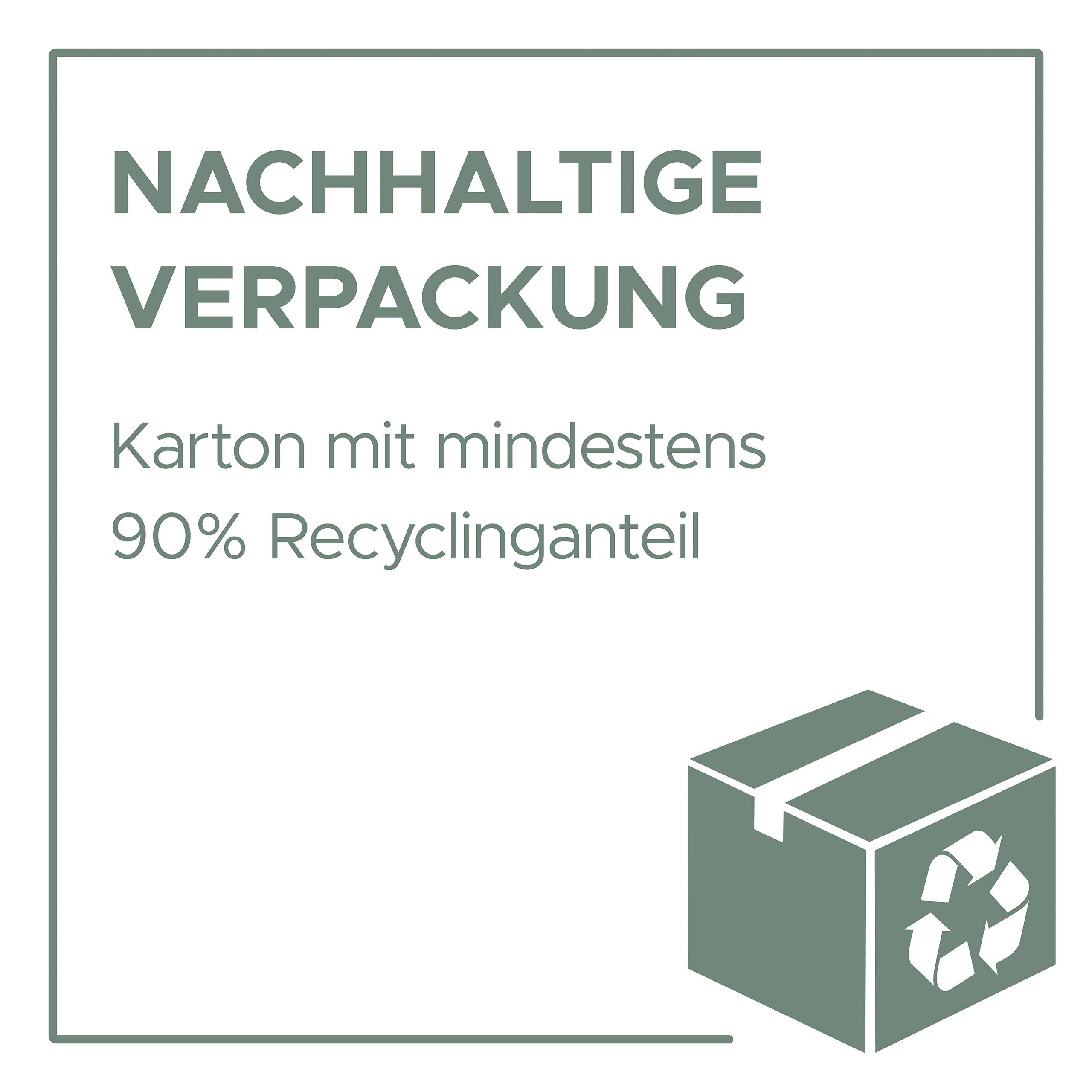Grafik mit Hinweis 'NACHHALTIGE VERPACKUNG' und 'Karton mit mindestens 90% Recyclinganteil'; stilisiertes grünes Kartonsymbol mit Recyclingzeichen.