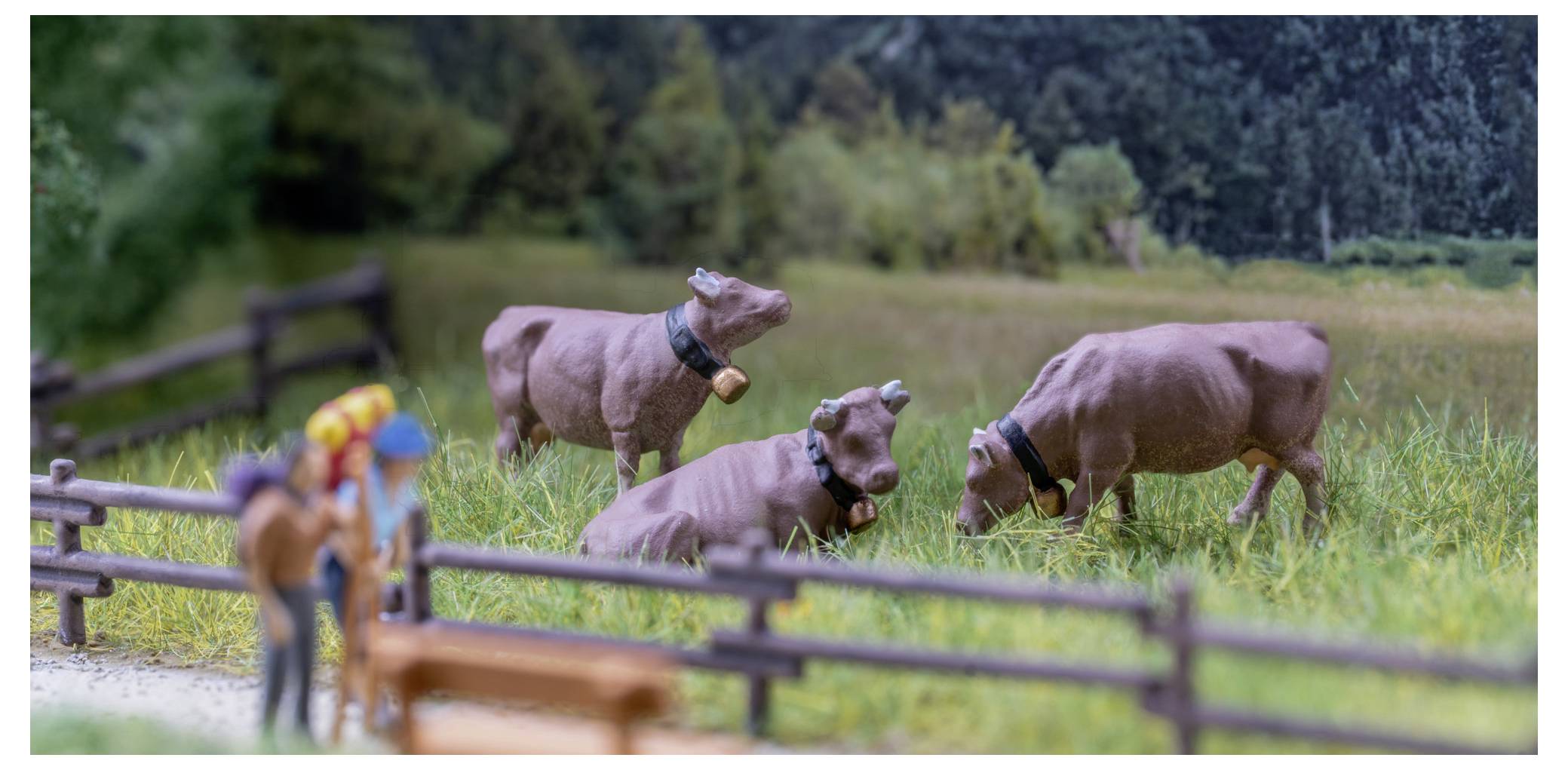 Drei Kühe grasen auf einer grünen Wiese hinter einem Zaun, wobei sich kleine unscharfe Menschenfiguren im Vordergrund befinden.