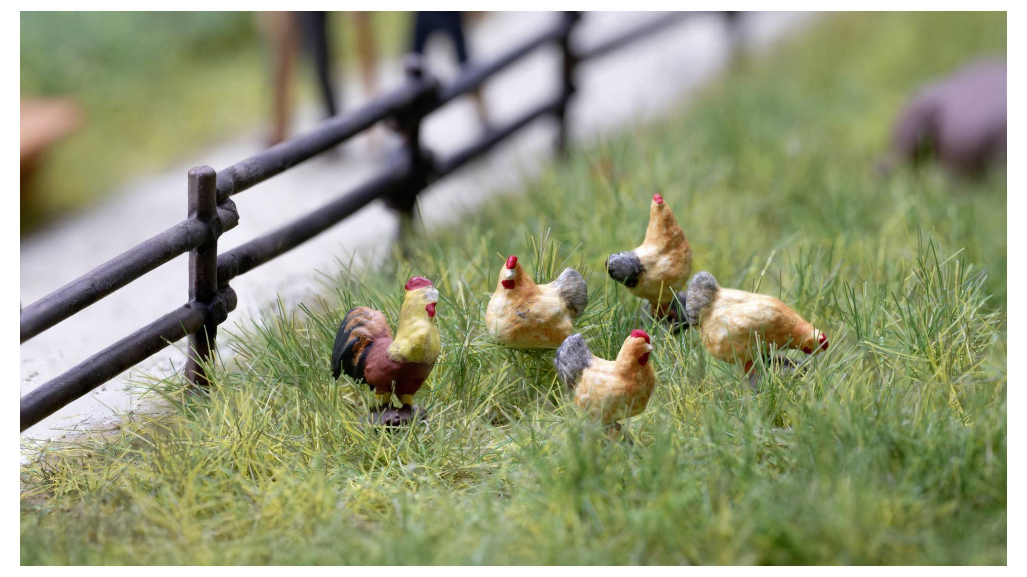 Fünf kleine Modellhühner stehen in einem grasbewachsenen Feld neben einem schwarzen Zaun