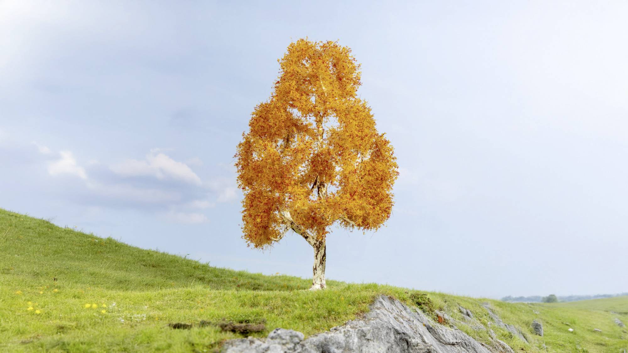 Ein einsamer Baum mit leuchtend orangefarbenen Herbstblättern steht auf einem grasbewachsenen Hügel unter einem blauen Himmel.