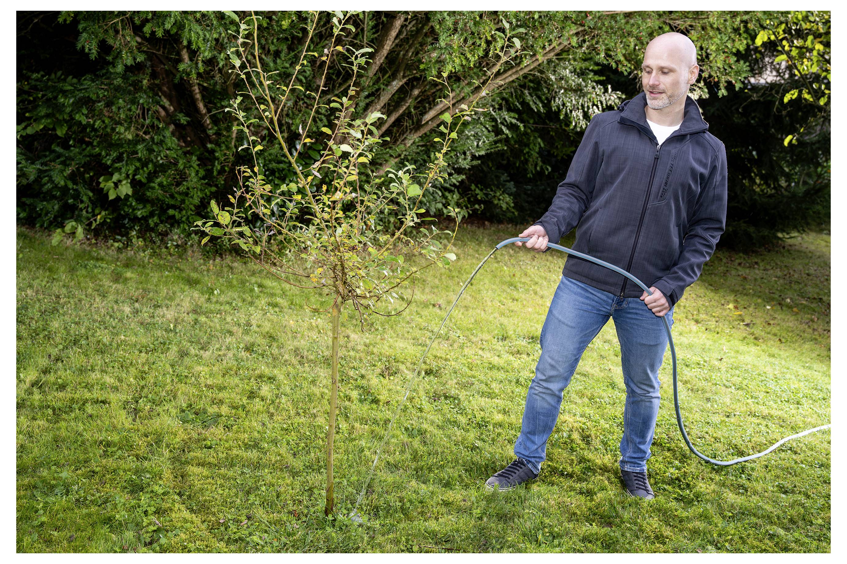 Ein Mann bewässert einen jungen Baum in einem grasbewachsenen Hof mit einem Gartenschlauch.