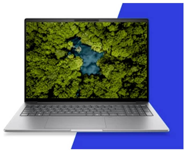 Offener Laptop mit einem Luftbildern eines Waldes auf dem Bildschirm vor einem blau-weißen Hintergrund.