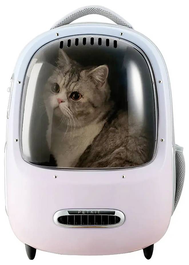 Graue Katze in einem rosa Haustier-Rucksack mit klarem Fenster vorne und Griff oben