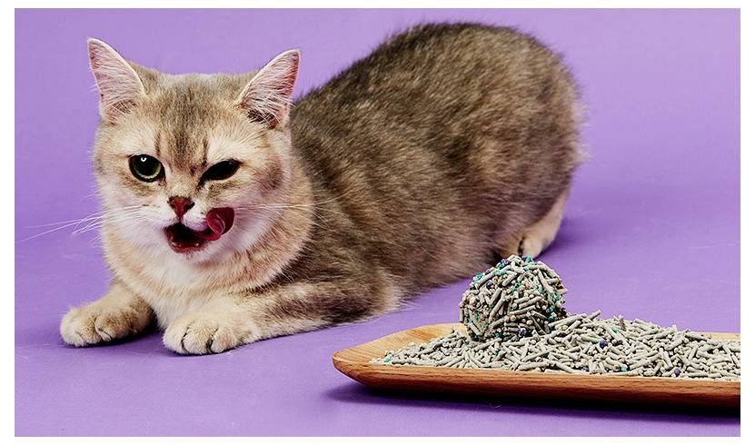 Petkit 5 in 1 Mixed Cat Litter Katzenstreu 3St.