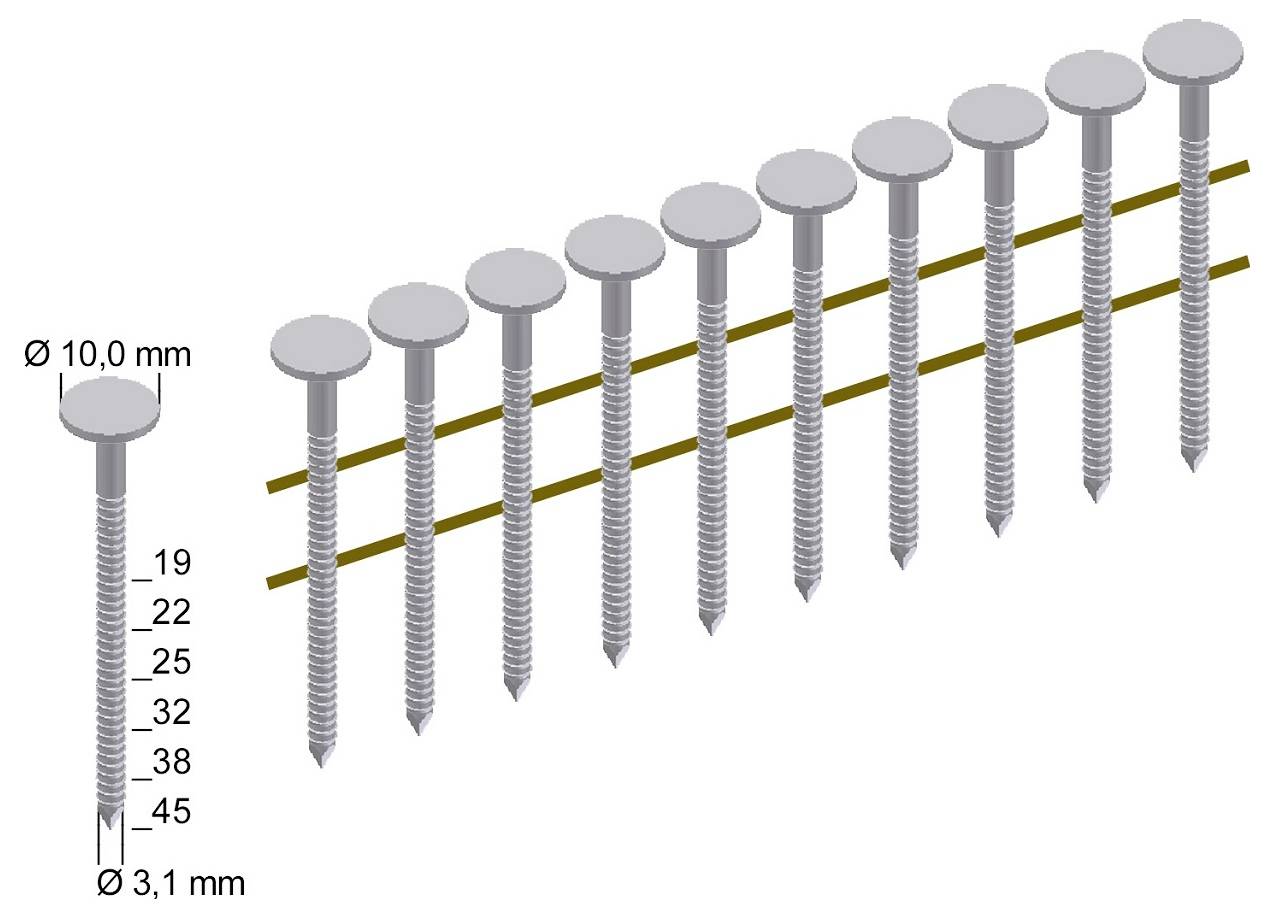 Diagramm von Nageldimensionen: 10 mm Kopfdurchmesser verjüngend sich zu 3,1 mm Spitze, mit gekennzeichneten Längen von 19, 22, 25, 32, 38 und 45 mm.