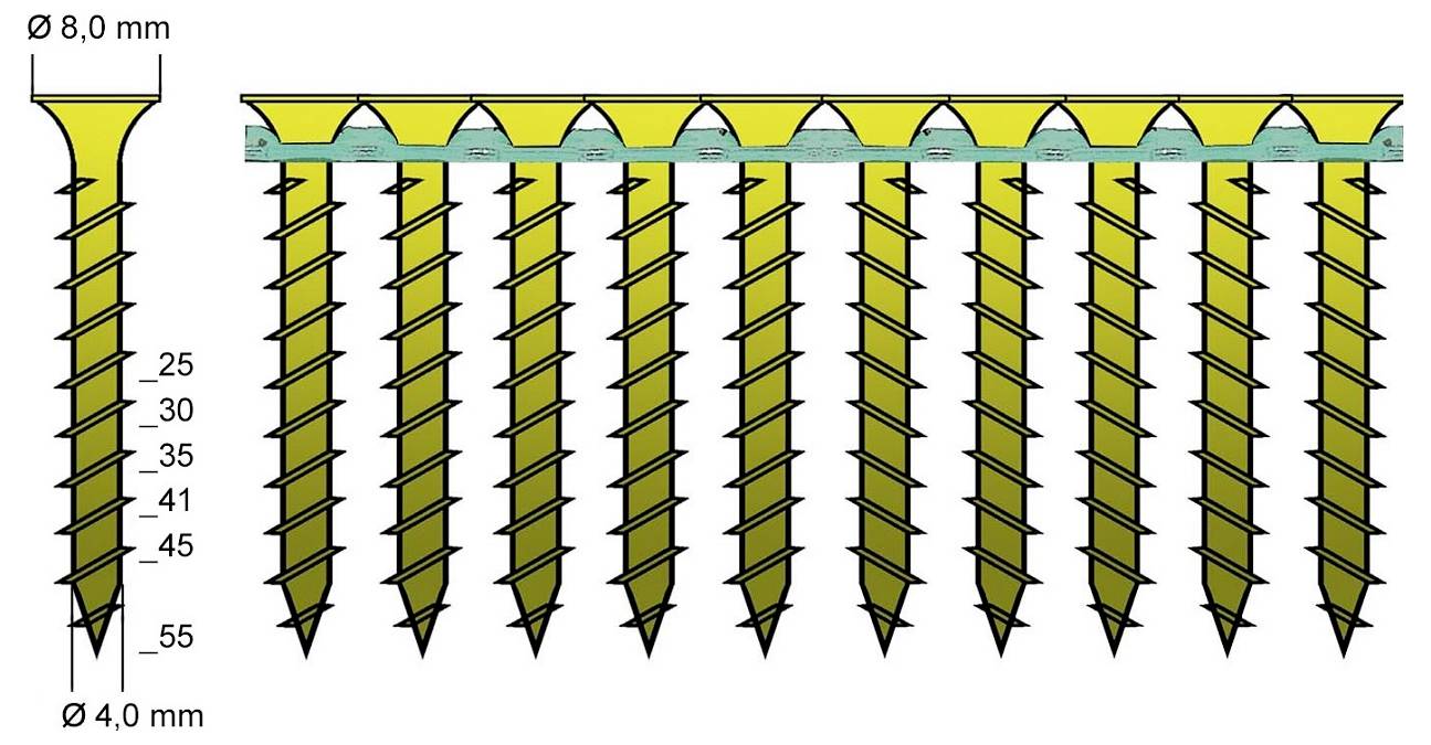 Diagramm mit gelben kollatierten Schrauben, die durch einen Streifen verbunden sind, mit der Beschriftung 8,0 mm Kopfdurchmesser und 4,0 mm Schaftdurchmesser, mit Längenkennzeichnungen von 25 bis 55 mm.