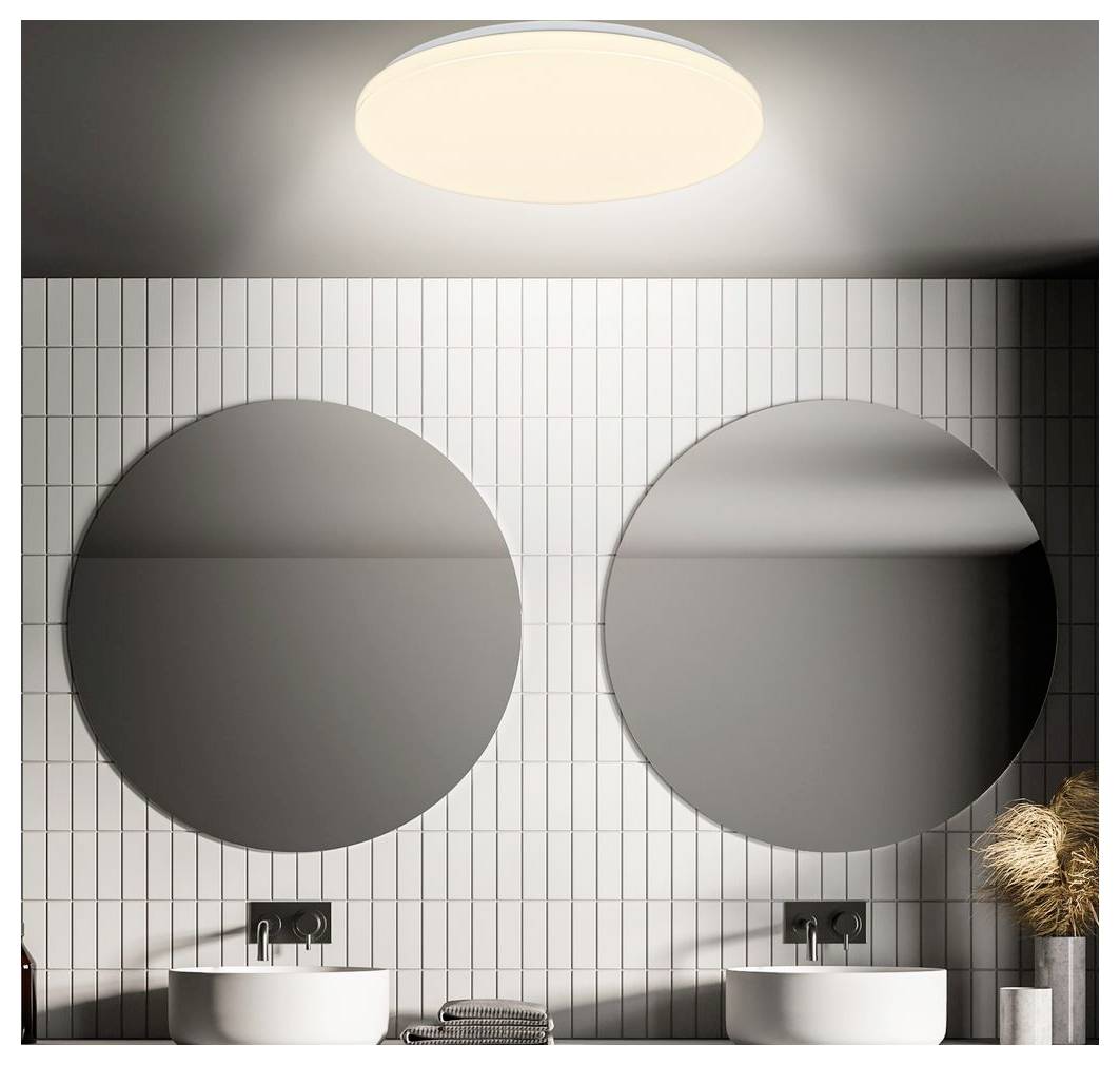 Modernes Badezimmer mit zwei runden Spiegeln über weißen Aufsatzwaschbecken, vertikal geflieste Wand, Deckenleuchte und Trockendeko auf der rechten Seite.