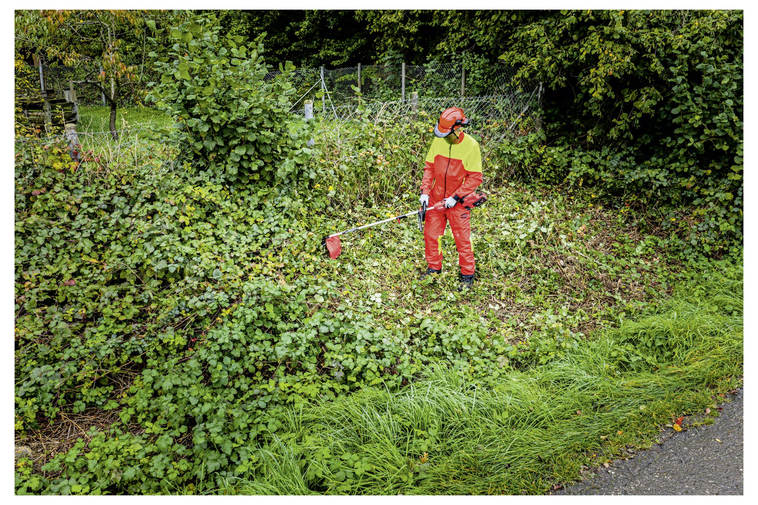 Person in red protective gear using a brush cutter to clear dense overgrown vegetation beside a roadside fence.Person in roter Schutzausrüstung, die einen Fadenmäher verwendet, um dichte überwucherte Vegetation neben einem Straßenzaun freizulegen.