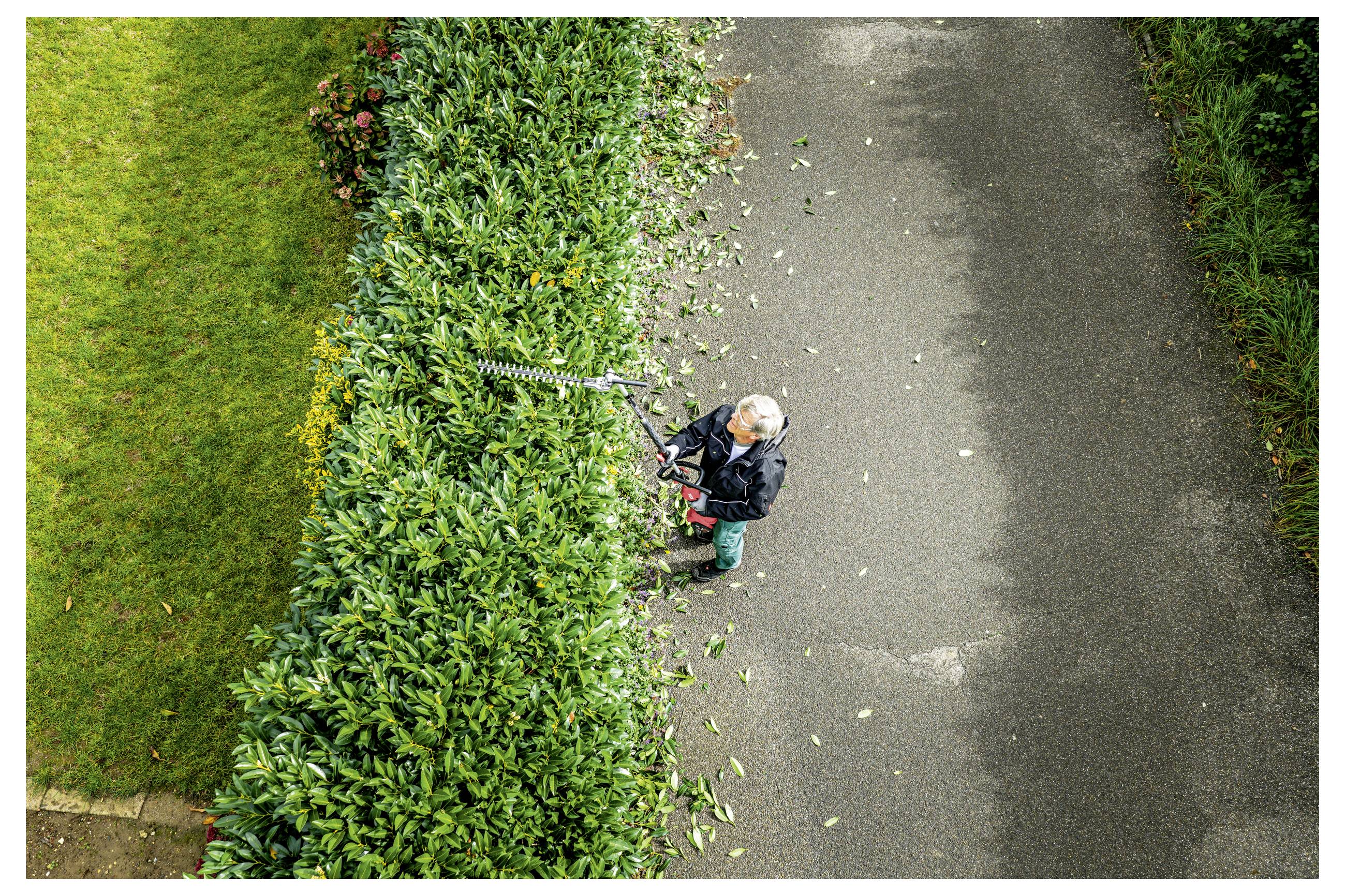 Draufsicht einer Person, die eine Heckenschere verwendet, um eine hohe grüne Hecke neben einem gepflasterten Weg zu schneiden.