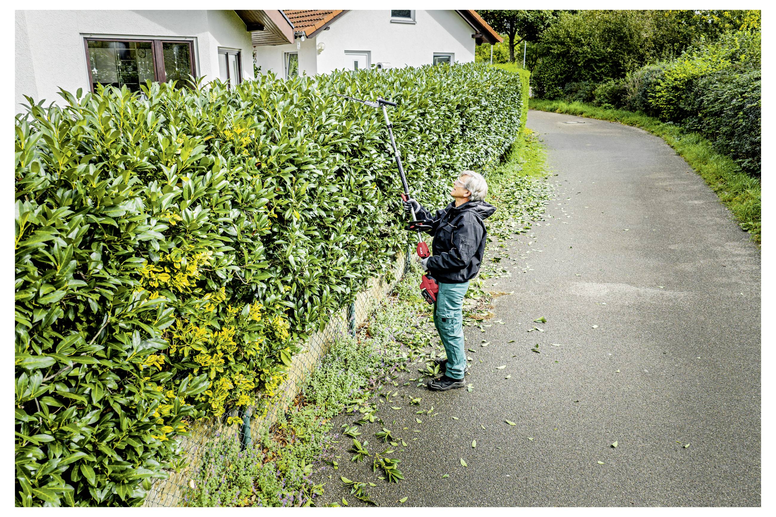 Person, die eine hohe Hecke mit einer langen Stabschere neben einer Einfahrt neben einem Haus schneidet.