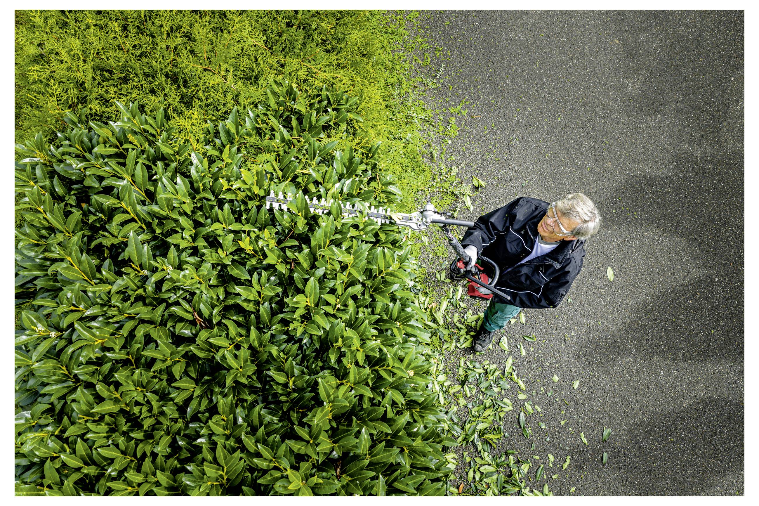 Draufsicht auf einen Arbeiter, der eine große grüne Hecke mit einer langen Heckenschere neben einem gepflasterten Weg trimmt, mit verstreuten geschnittenen Blättern auf dem Boden.