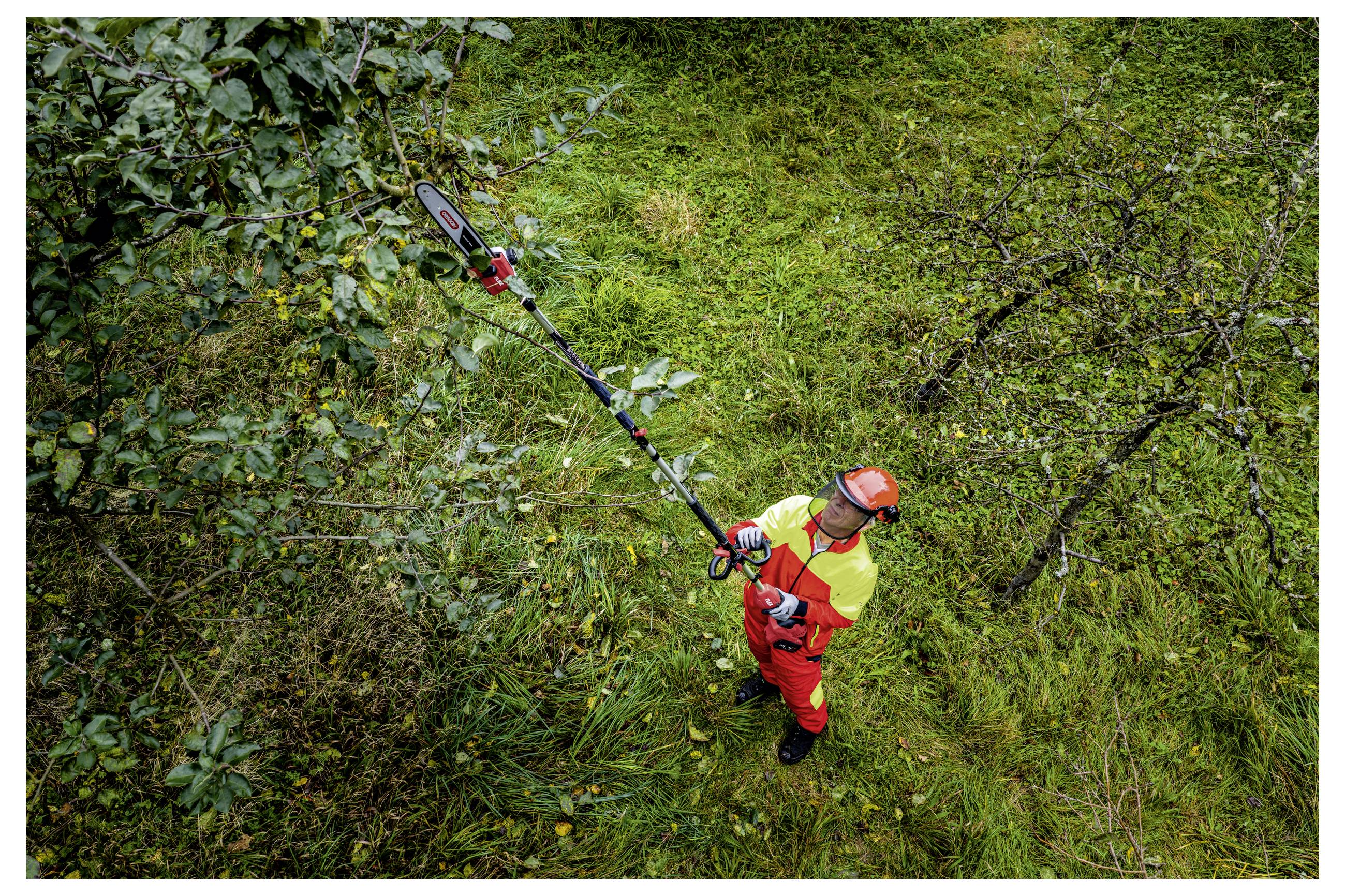 Arbeiter in orangefarbener Sicherheitsausrüstung, der eine lange Astschere verwendet, um Baumäste in dichter grüner Vegetation von oben zu schneiden.
