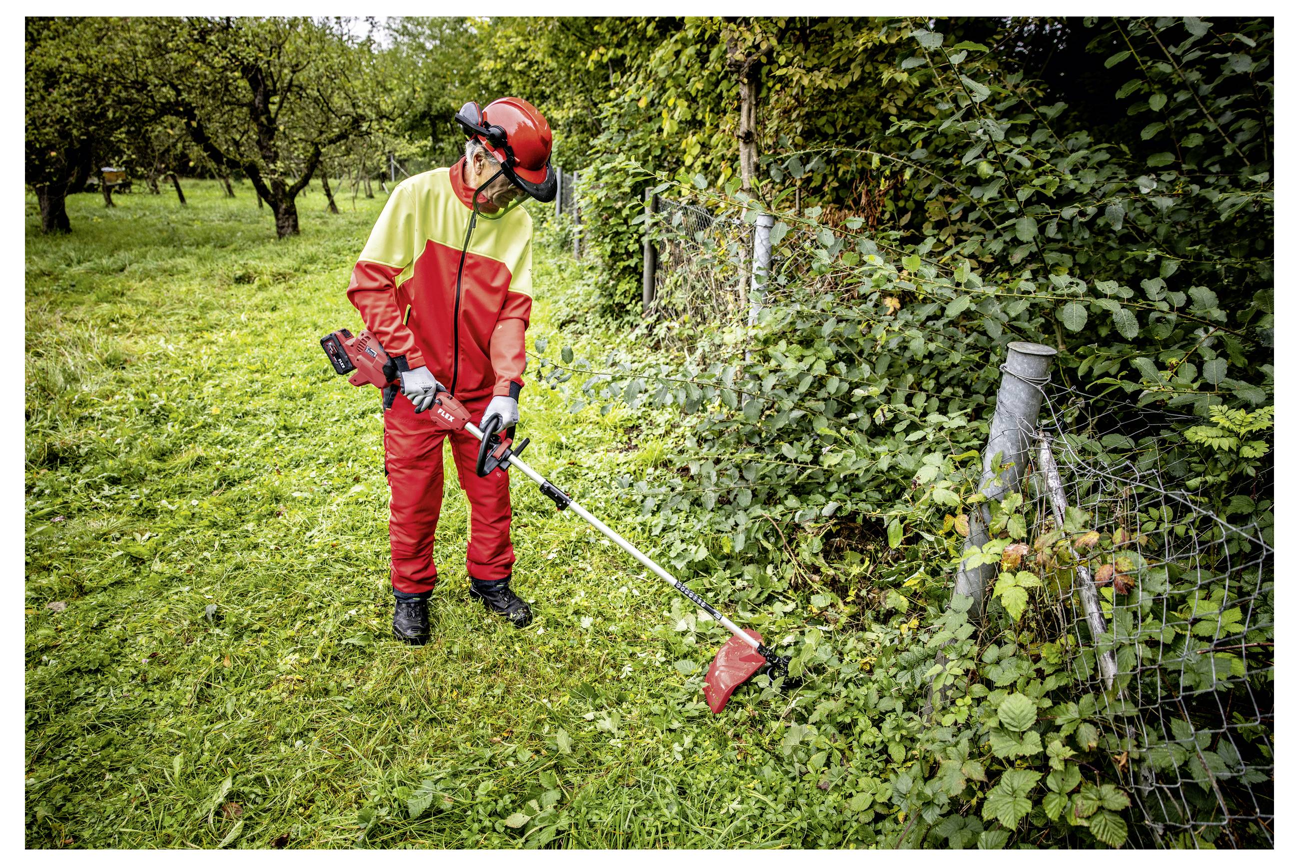 Person in roter Schutzausrüstung schneidet Gras und Unkraut mit einem Fadentrimmer entlang eines Zauns in einem grasbewachsenen Obstgarten oder Garten.