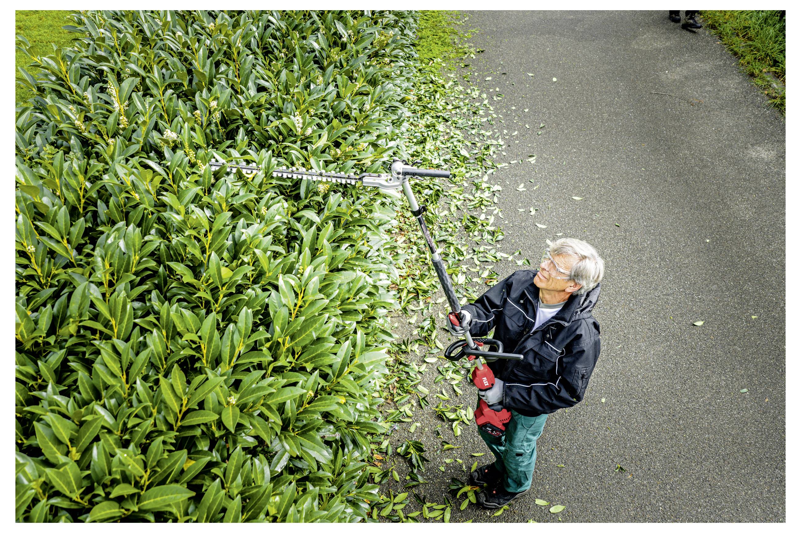 Ein älterer Gärtner schneidet eine hohe Hecke mit einer langen Stabschere neben einem gepflasterten Weg, wobei geschnittene Blätter auf dem Boden verstreut liegen.