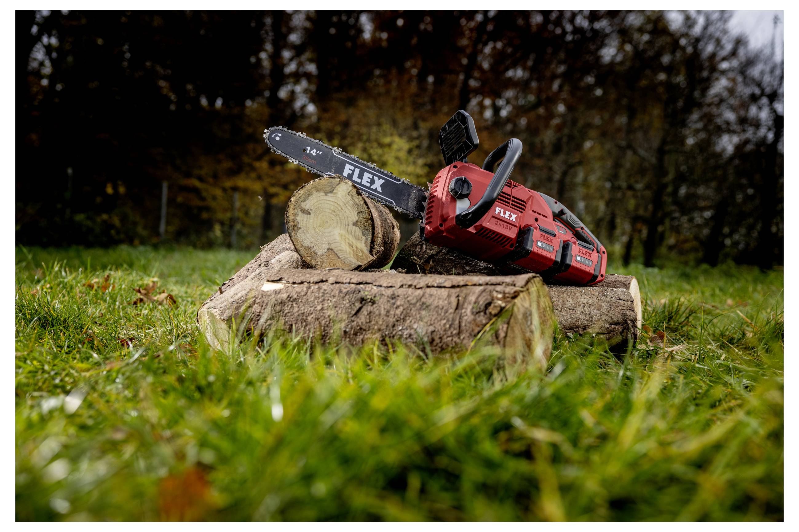 Rote FLEX-Kettensäge, die auf einem abgesägten Baumstumpf im Gras ruht, mit einem gesägten Holzscheit und bewaldtem Hintergrund im Hintergrund.