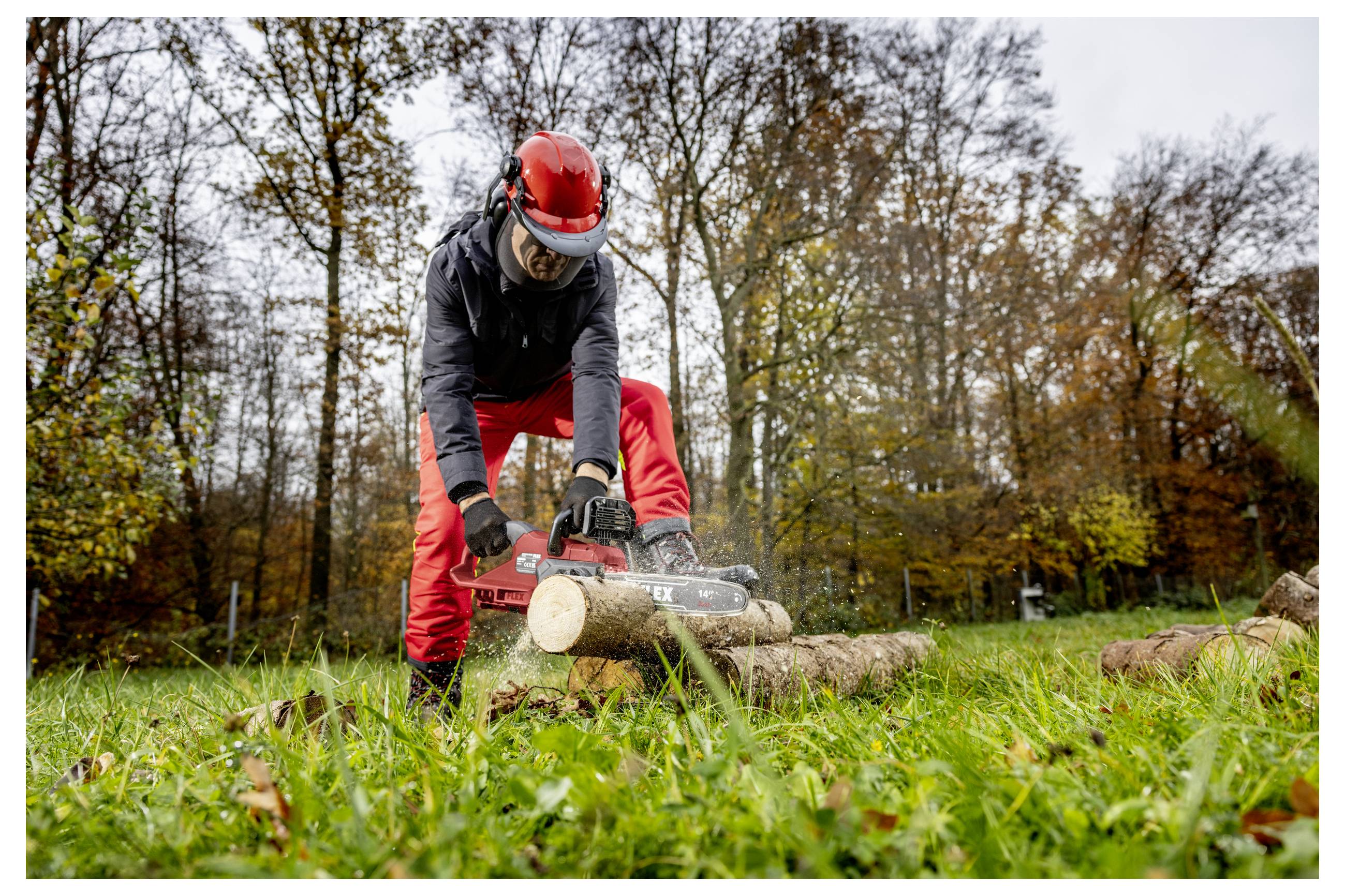Ein Arbeiter in roter Schutzausrüstung zersägt einen Baumstamm mit einer Kettensäge im Freien in einem grasigen Waldgebiet.