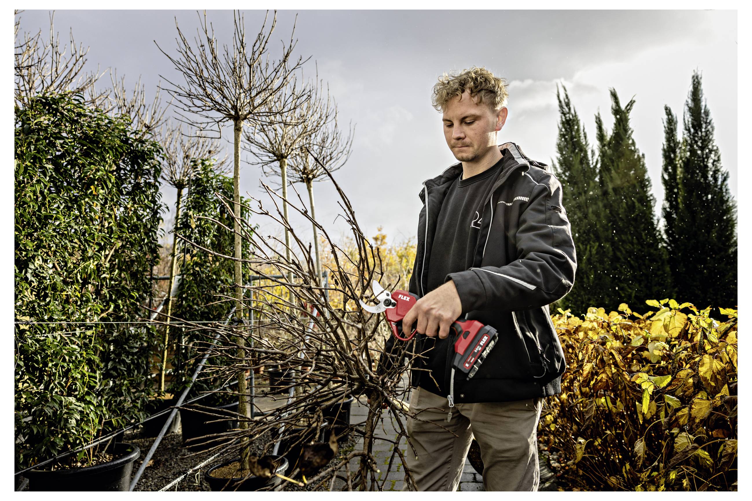 Mann benutzt rote Akku-Heckenscheren zum Schneiden von Ästen in einem Outdoor-Garten zwischen Sträuchern und Bäumen.