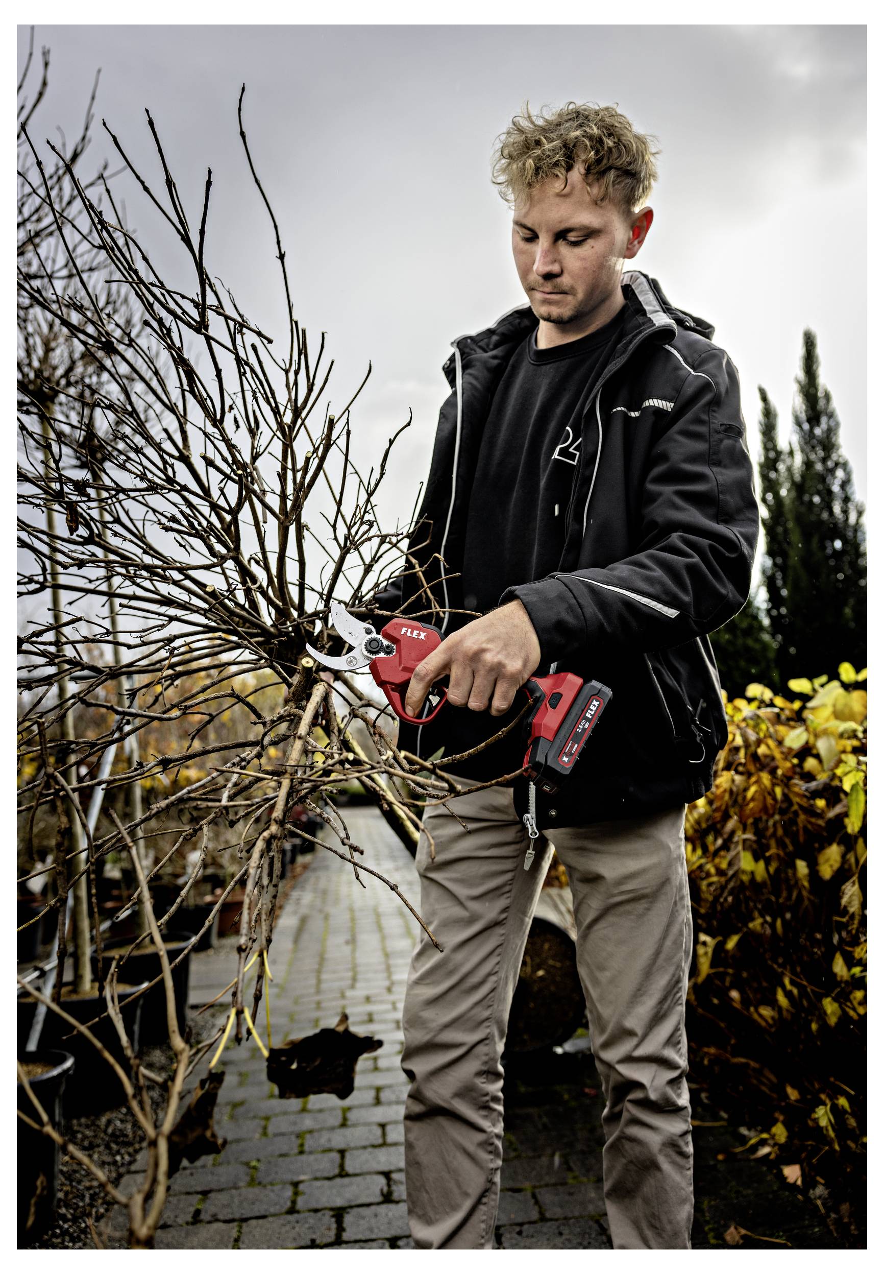 Ein Mann schneidet kahle Äste mit einer roten elektrischen Heckenschere in einem Gartenweg, wobei er neben Topfpflanzen und Sträuchern steht.