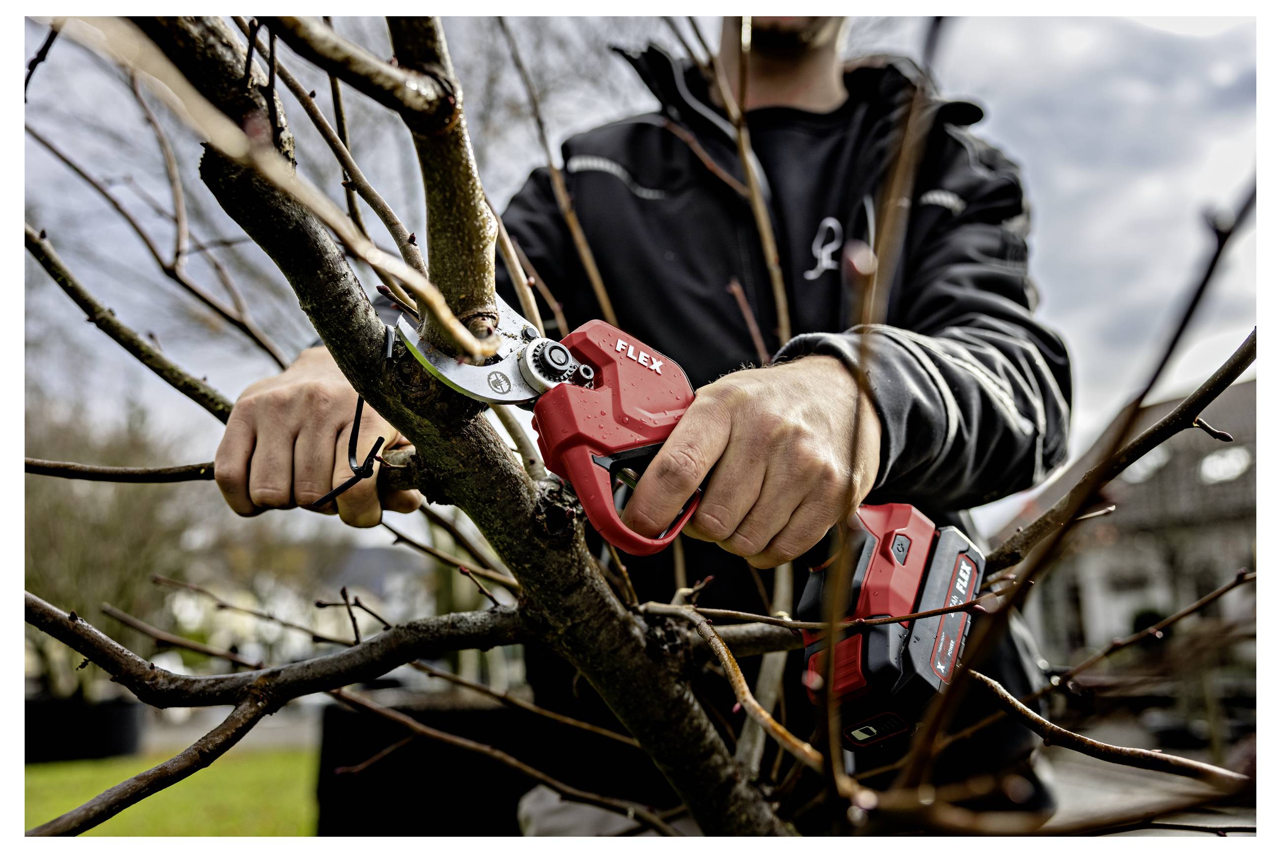 Person, die mit roten kabellosen elektrischen Scheren Baumäste in einem Garten oder Hof schneidet.